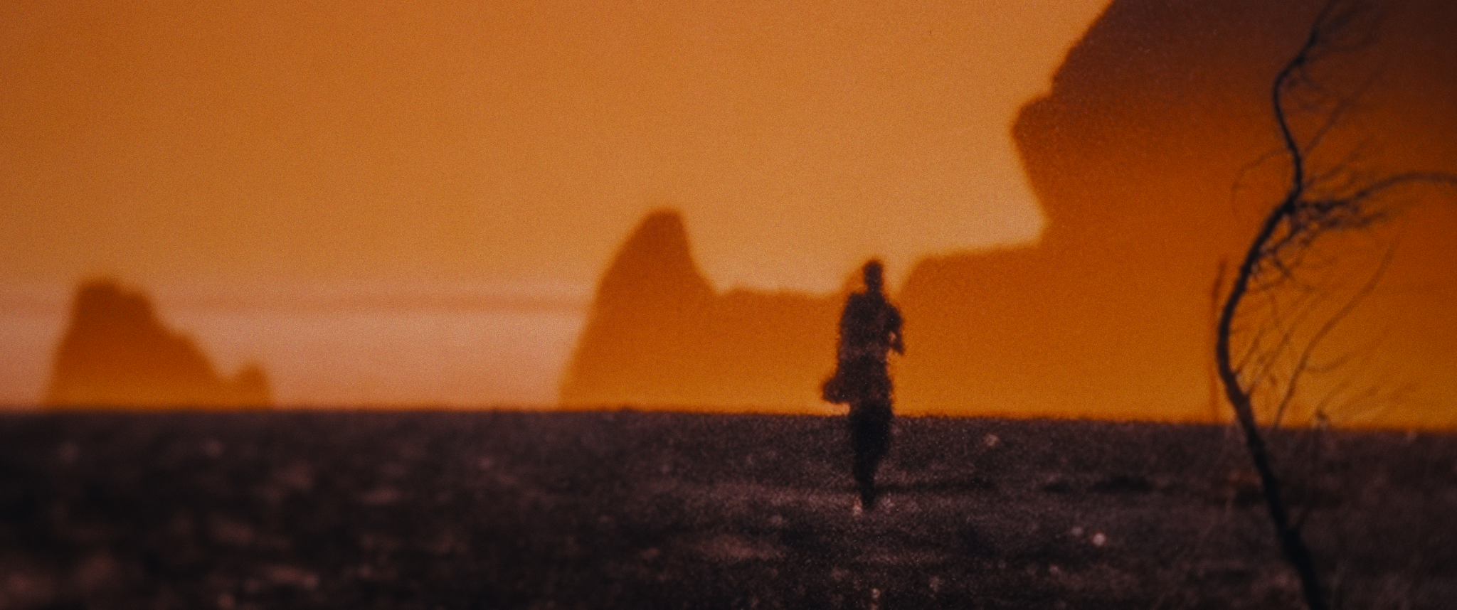 Screenshot 2026-02-10 at 12.02.31 AM_1.44.2.T.png