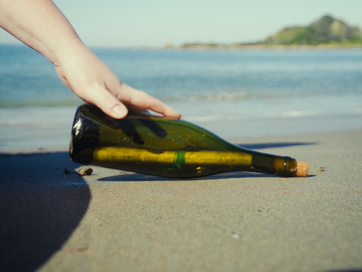 Still 2026-02-19 180641_1.1.15.png