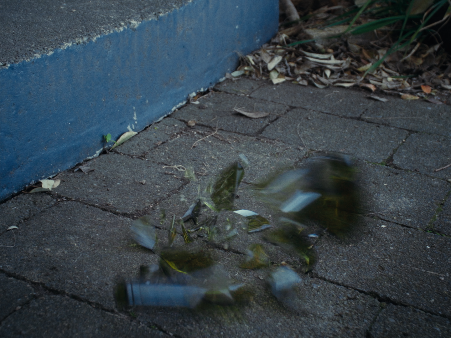 Still 2026-02-19 180641_1.1.44.png