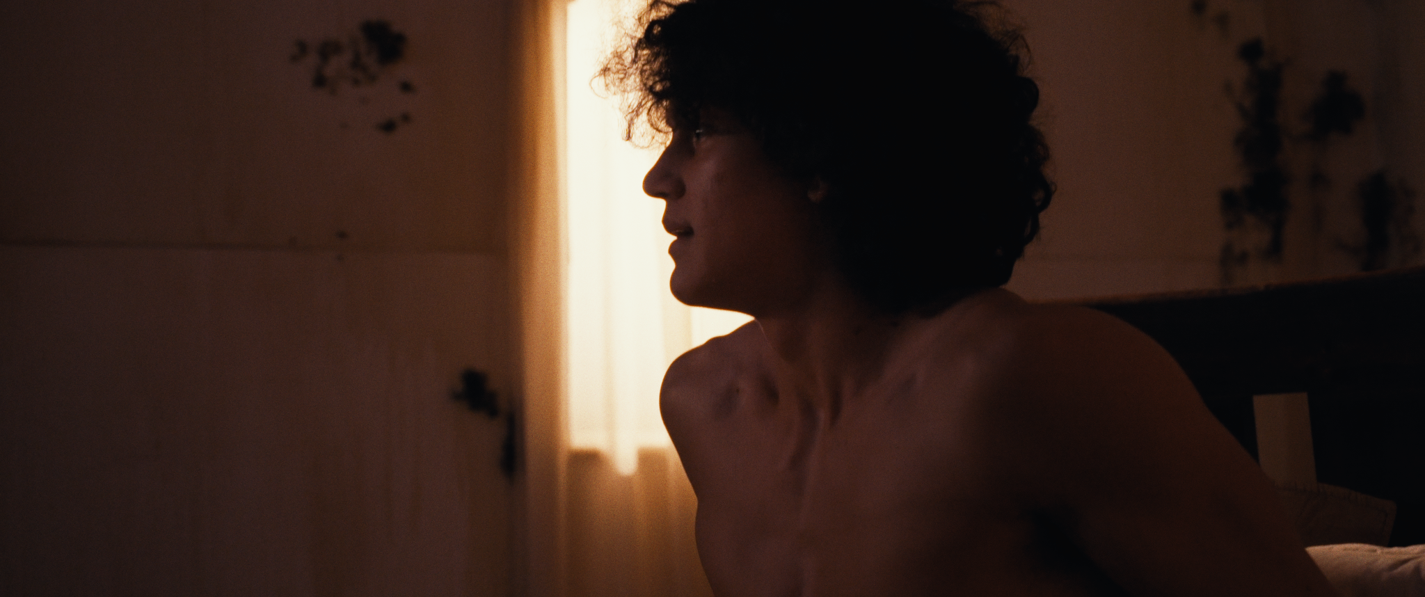 Screenshot 2026-02-10 at 12.02.31 AM_1.113.6.T.png