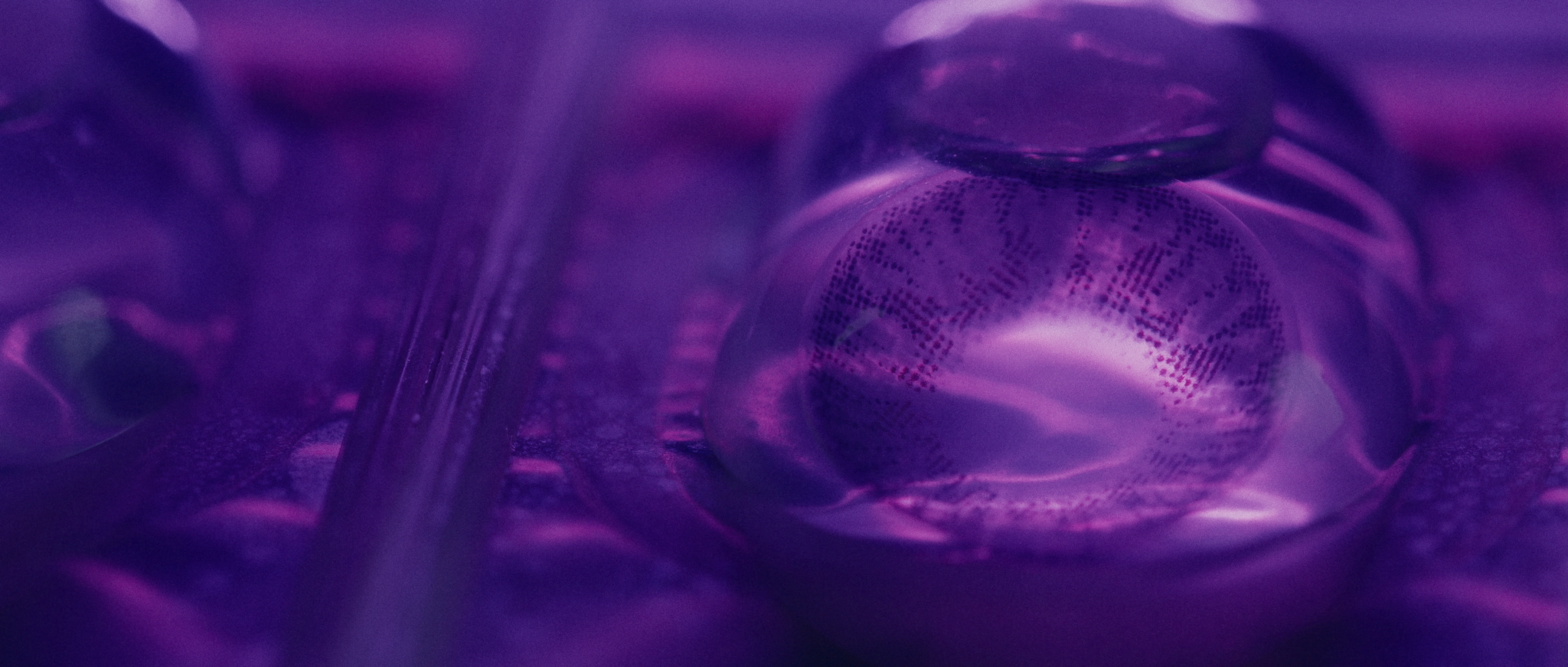 Still 2026-02-10 054911_1.1.51.png