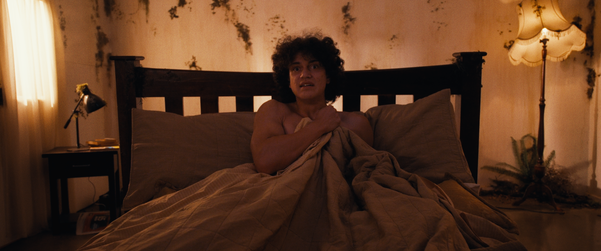 Screenshot 2026-02-10 at 12.02.31 AM_1.117.2.T.png