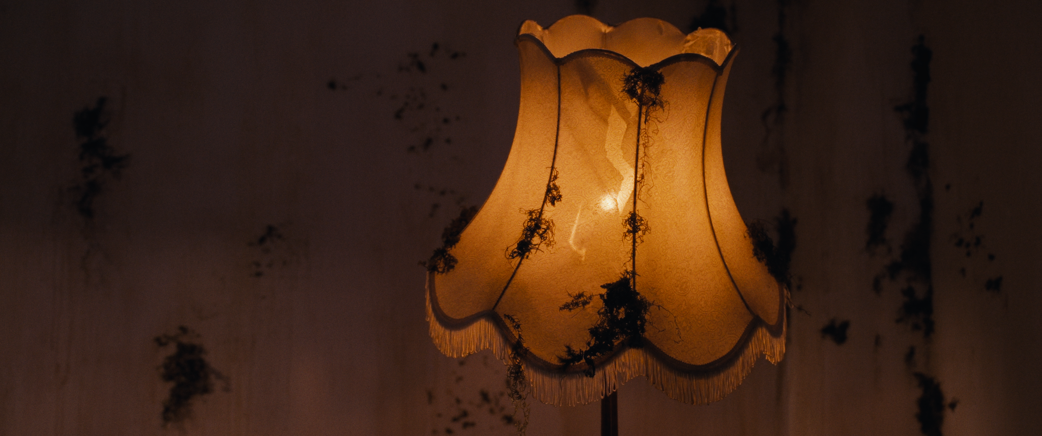 Screenshot 2026-02-10 at 12.02.31 AM_1.138.2.T.png