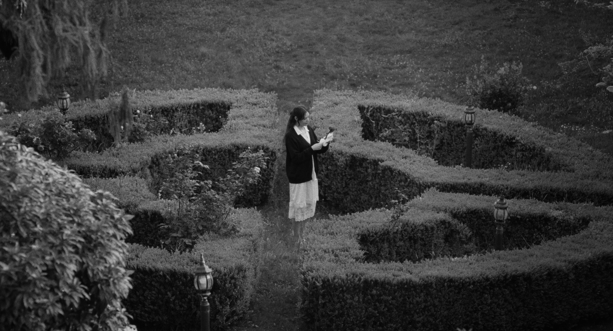 Still 2026-02-20 001221_1.48.1.T.png