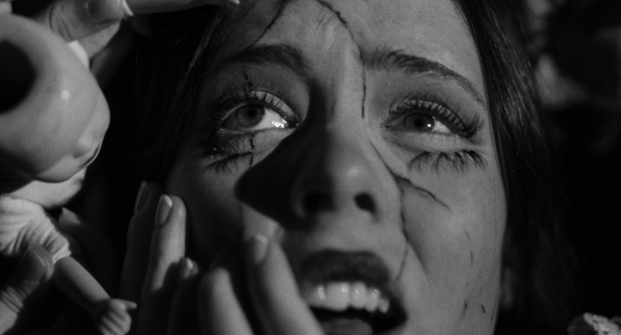 Still 2026-02-20 001221_1.38.1.T.png