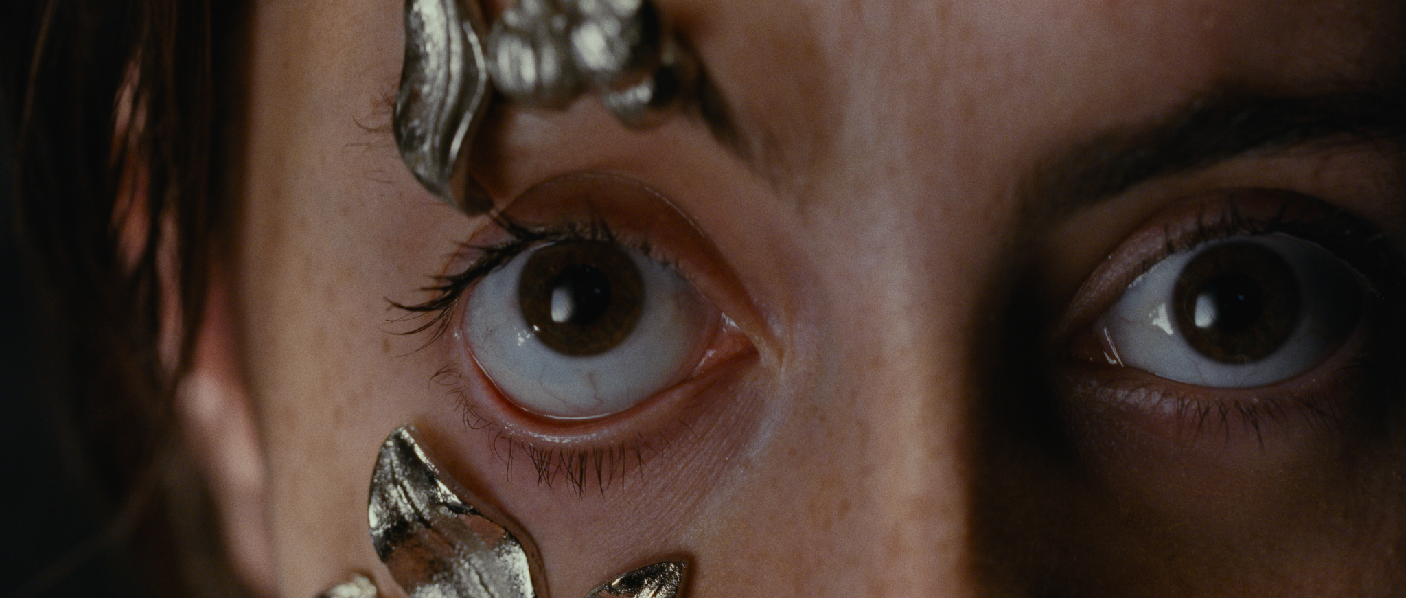 Still 2026-02-10 054911_1.1.53.png