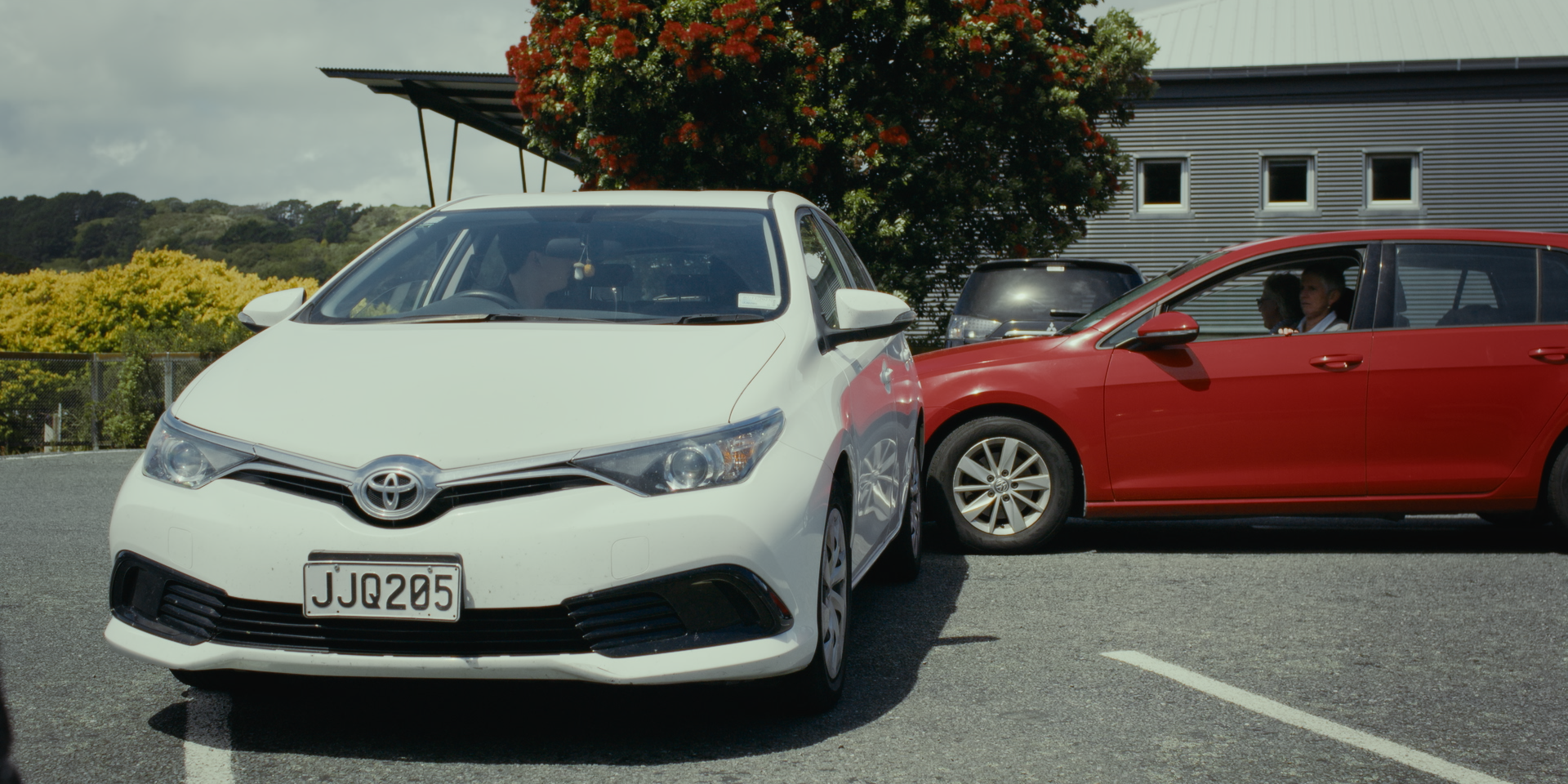 Still 2026-02-19 182318_1.1.28.png