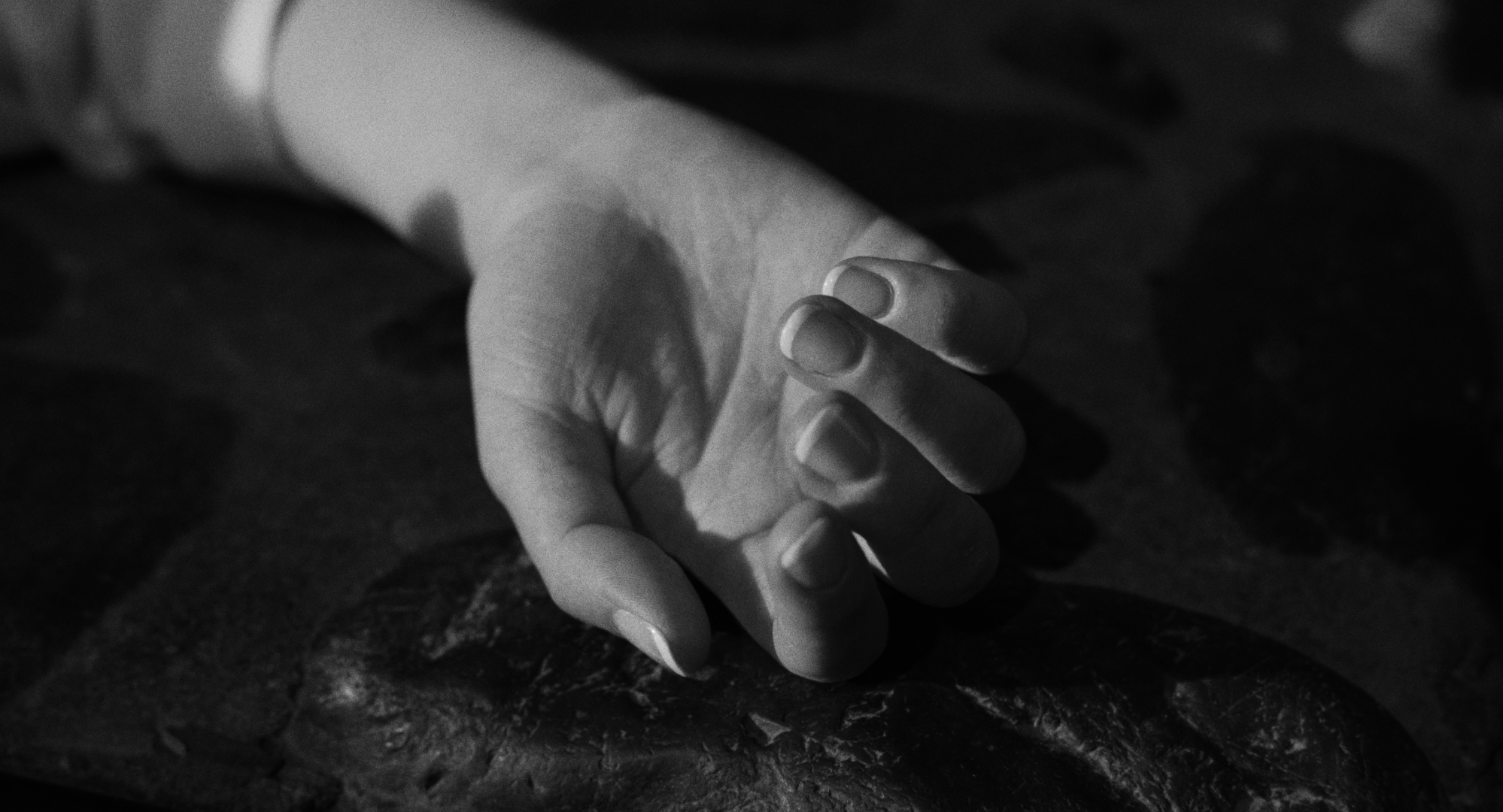 Still 2026-02-20 001221_1.10.1.T.png