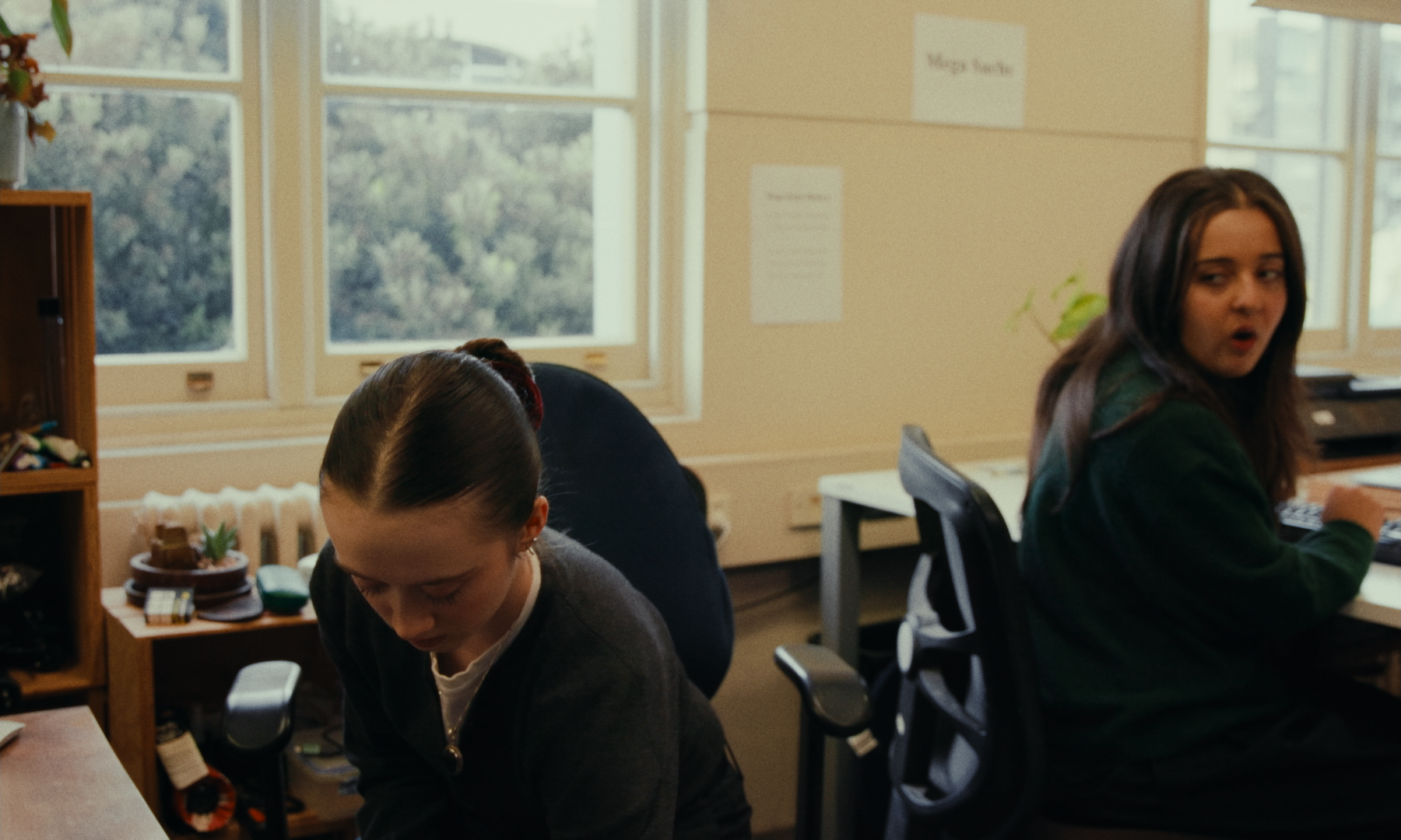 Still 2026-02-19 151408_1.1.29.png