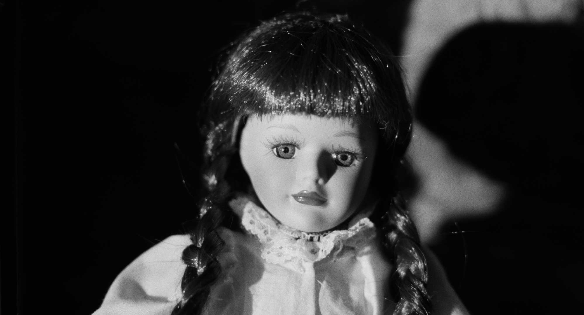 Still 2026-02-20 001221_1.8.1.T.png