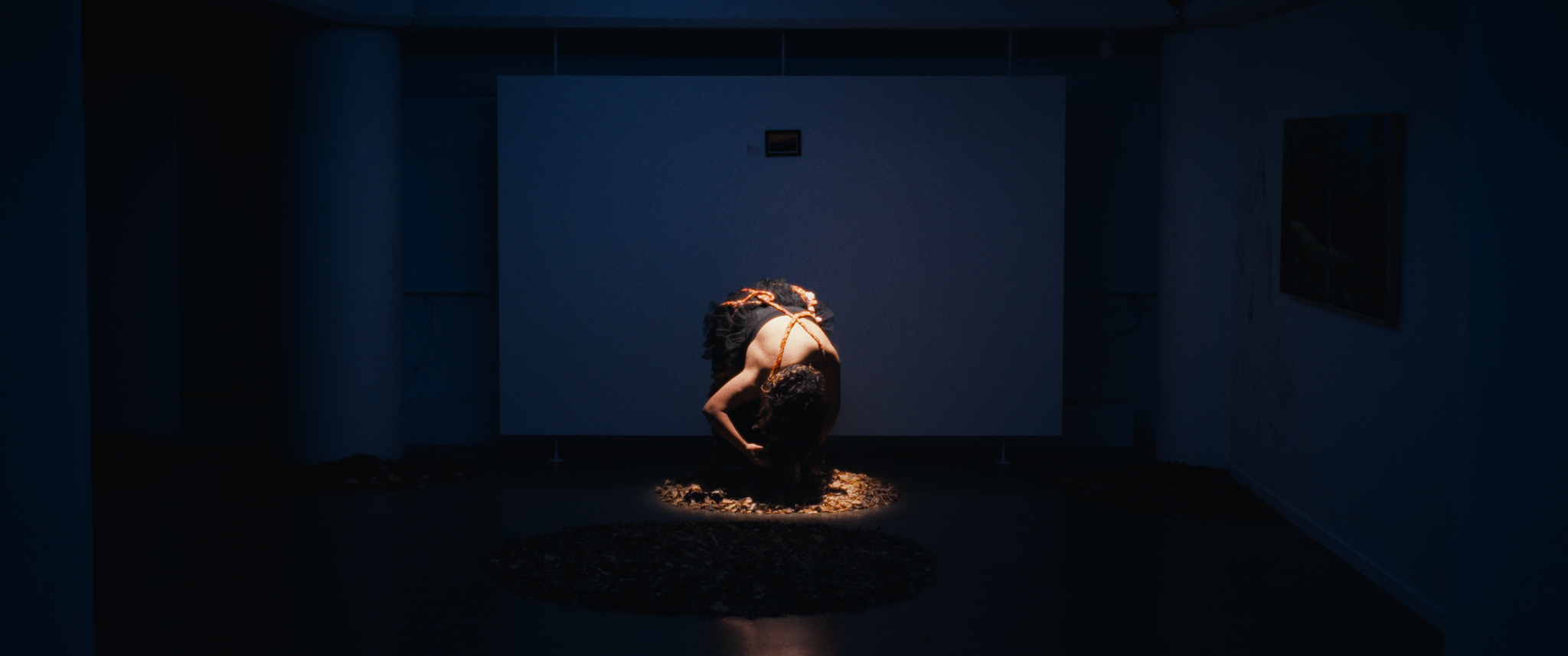 Screenshot 2026-02-10 at 12.02.31 AM_1.88.2.T.png