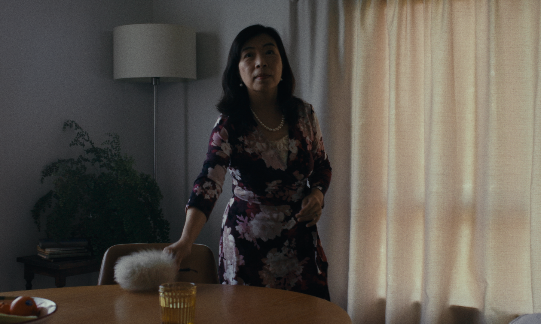 Still 2026-03-01 002121_1.1.15.png