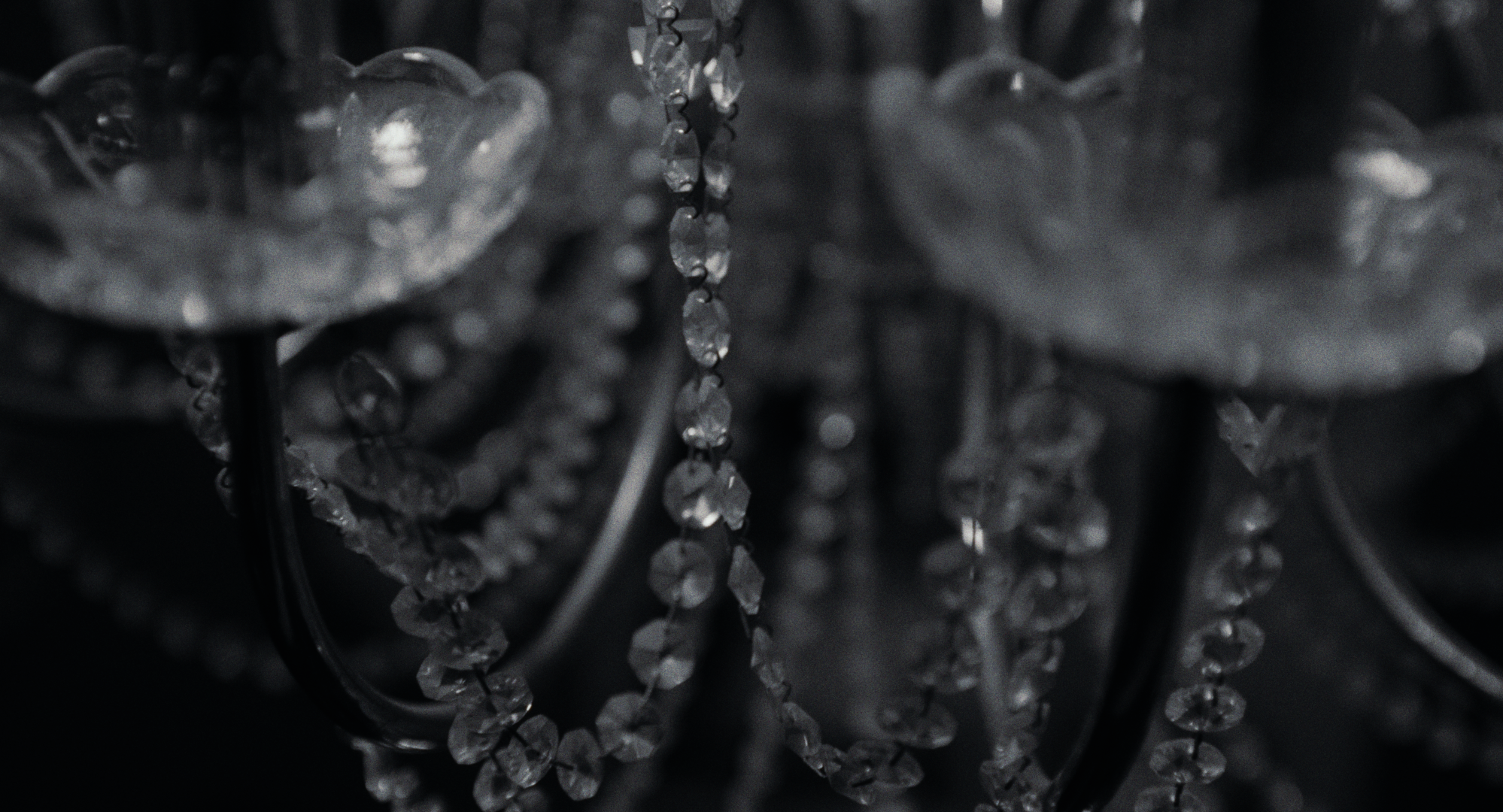 Still 2026-02-20 001221_1.6.1.T.png