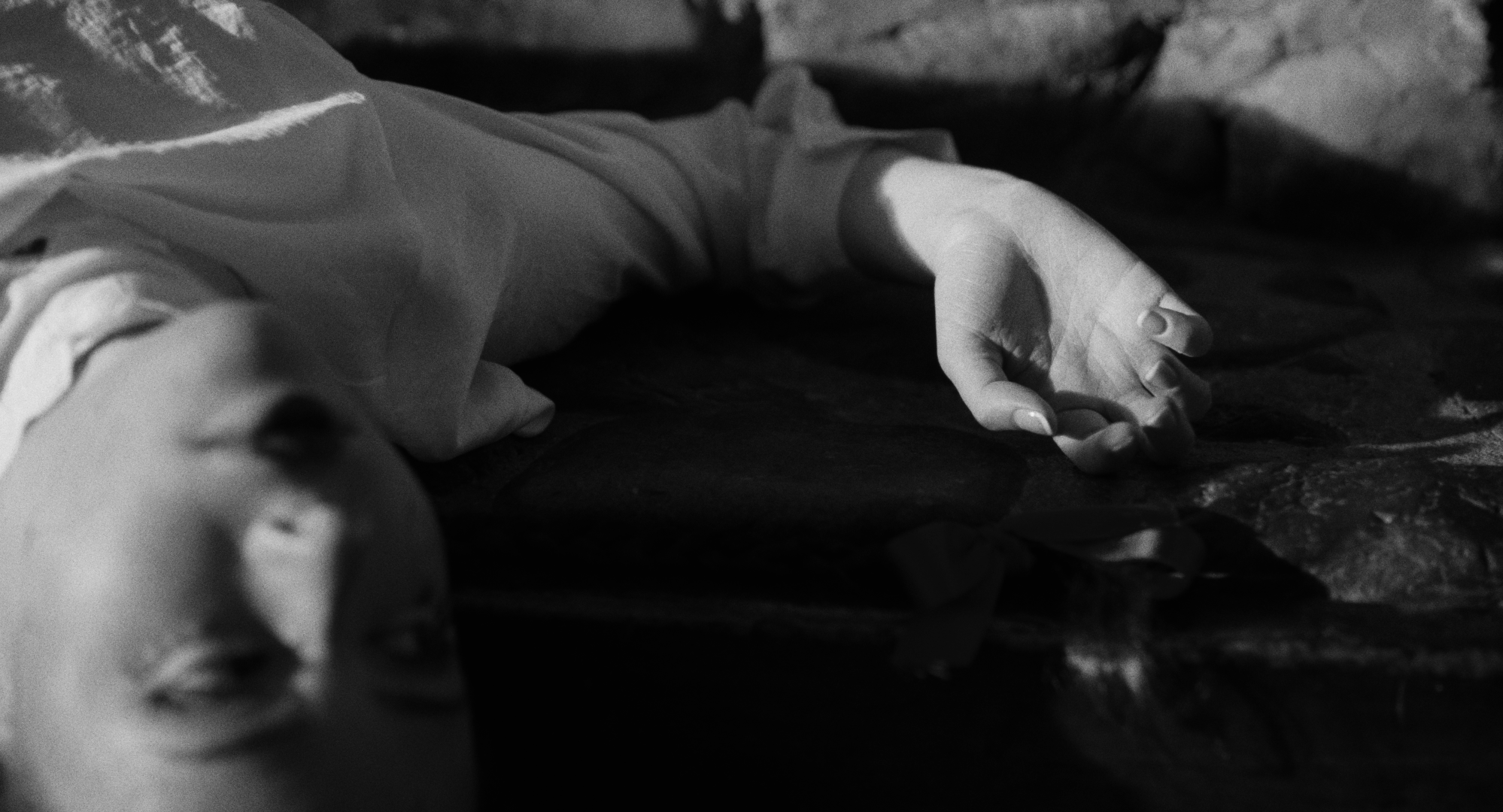 Still 2026-02-20 001221_1.15.1.T.png