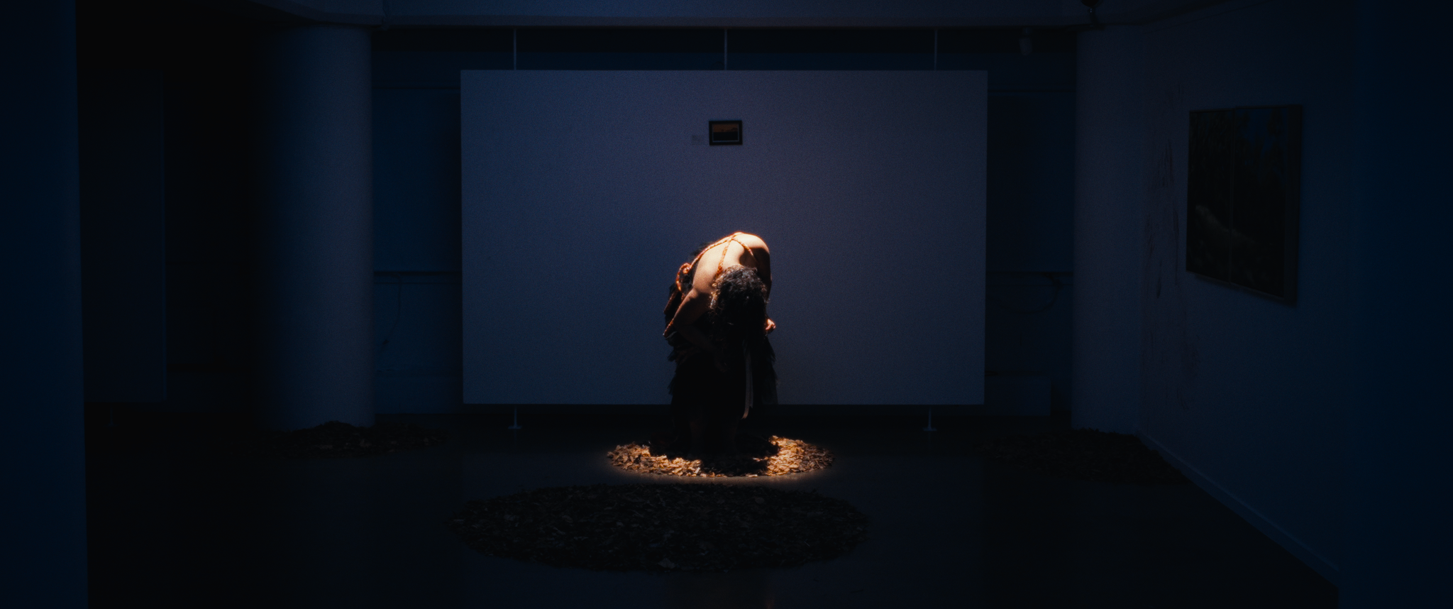 Screenshot 2026-02-10 at 12.02.31 AM_1.88.4.T.png