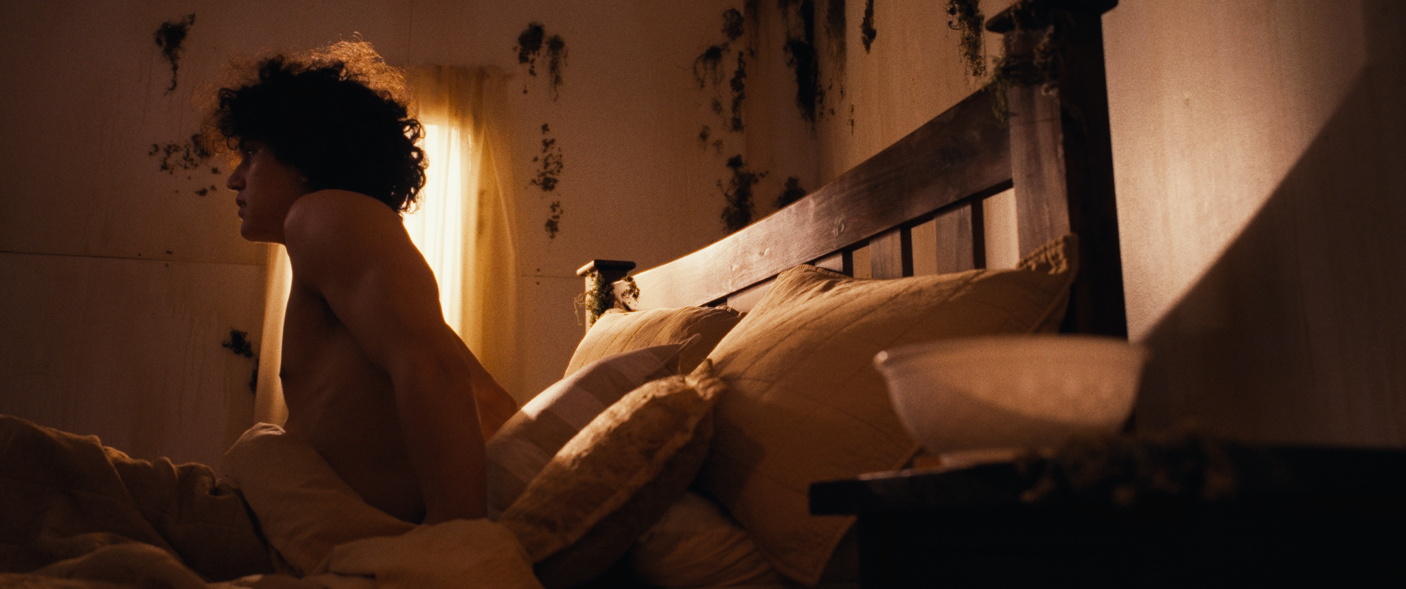 Screenshot 2026-02-10 at 12.02.31 AM_1.109.3.T.png