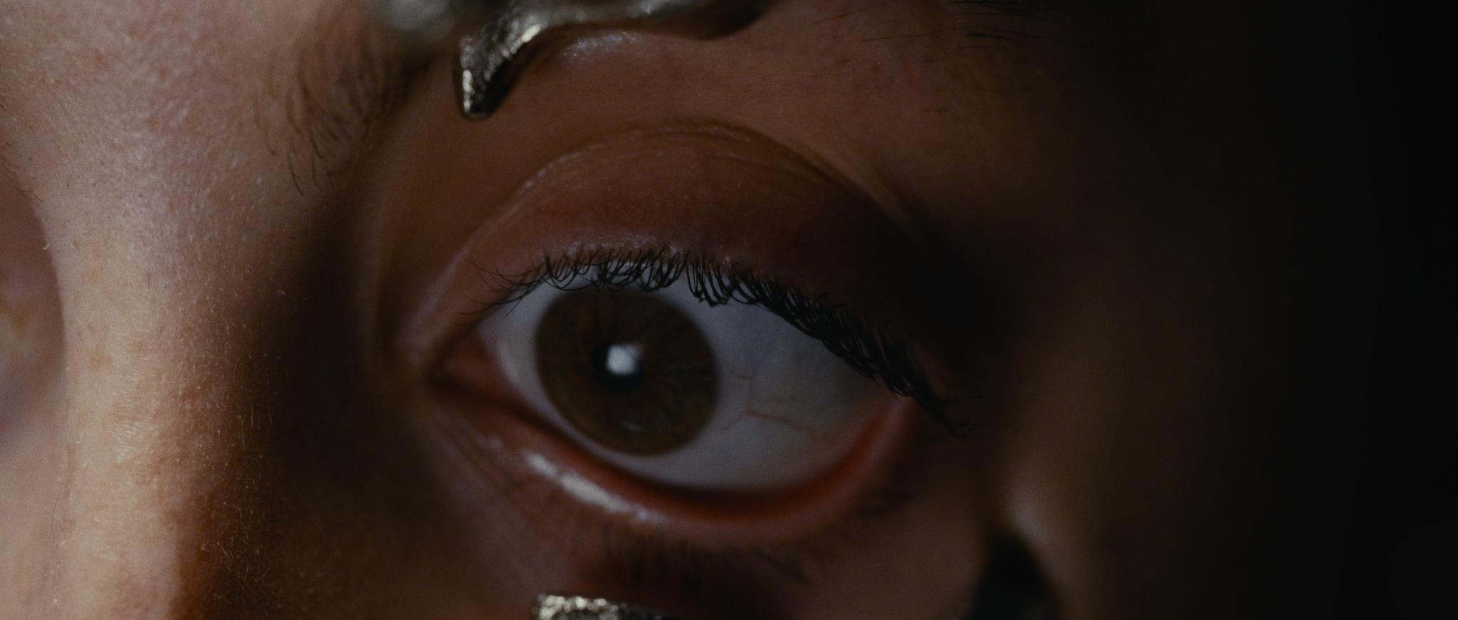 Still 2026-02-10 054911_1.1.54.png