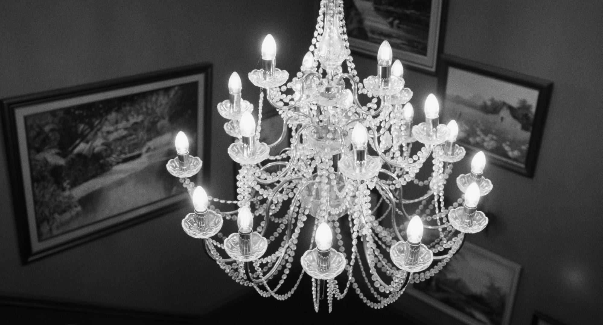 Still 2026-02-20 001221_1.5.1.T.png