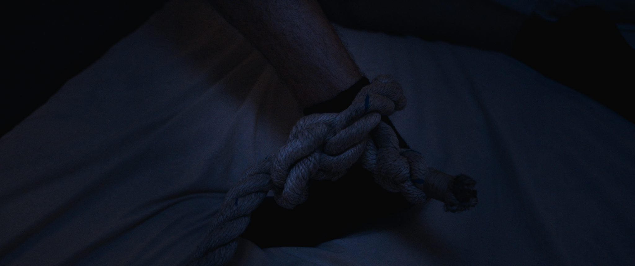 Screenshot 2026-02-10 at 12.02.31 AM_1.123.4.T.png