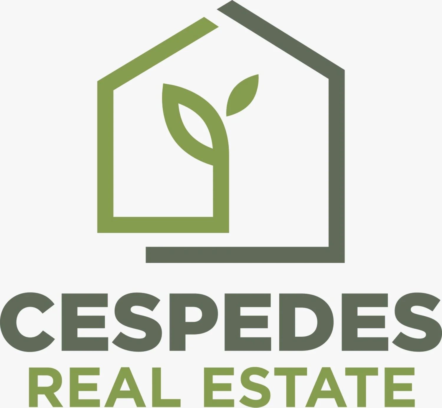 Cespedes Real Estate