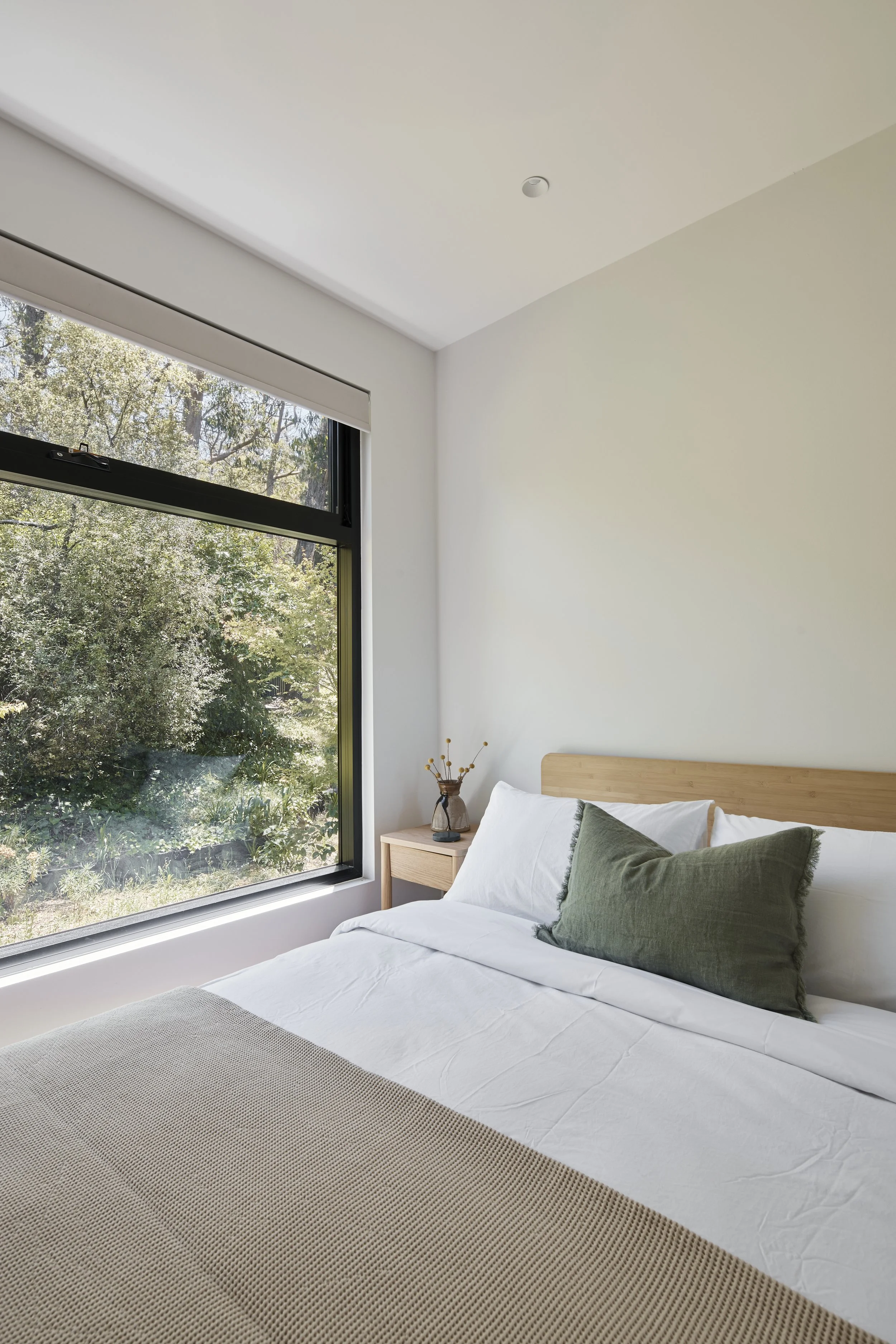 TREETOPS7.jpg