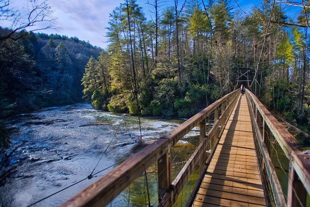 Finding Your North Star: A Guide to Choosing Your Home in the North Georgia Mountains