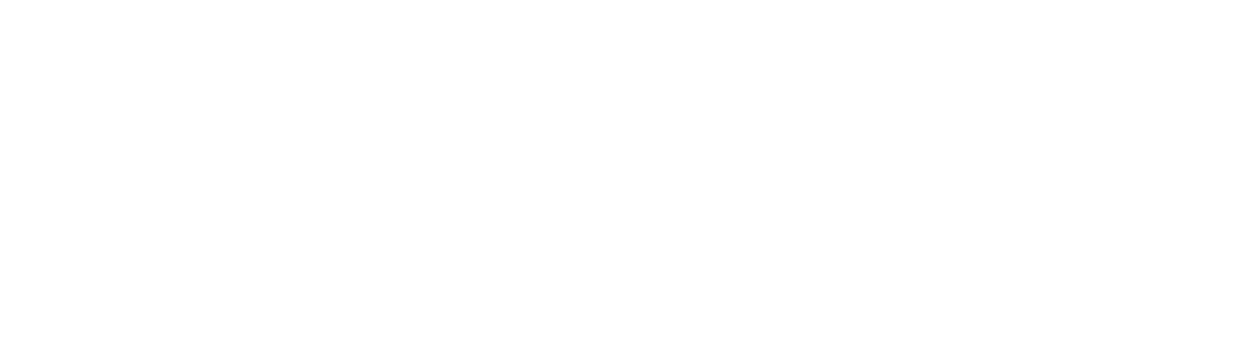 Logo of DMP with a leaf and a power plug integrated into the design, in black and white.