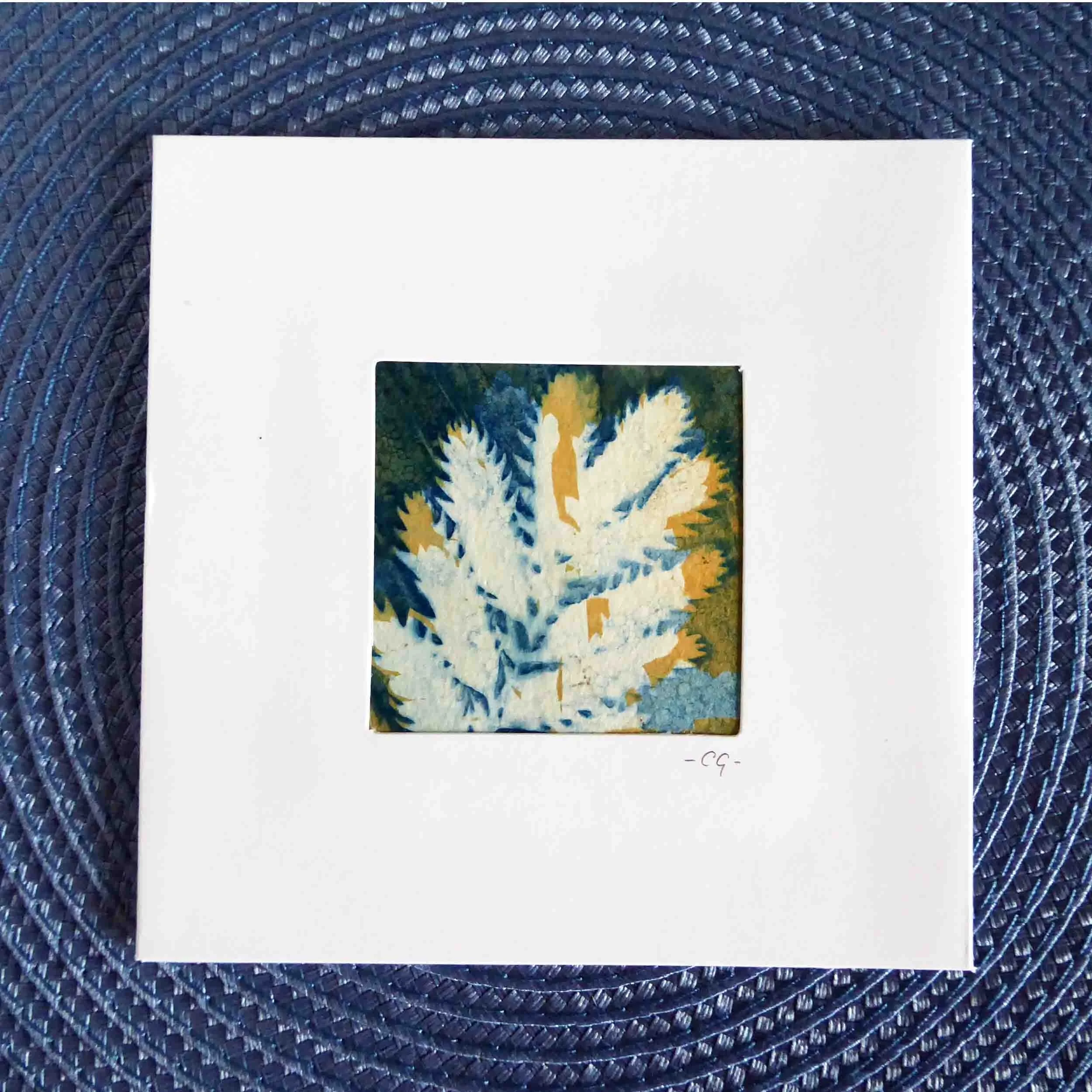 Bleached Cyanotype Leaf