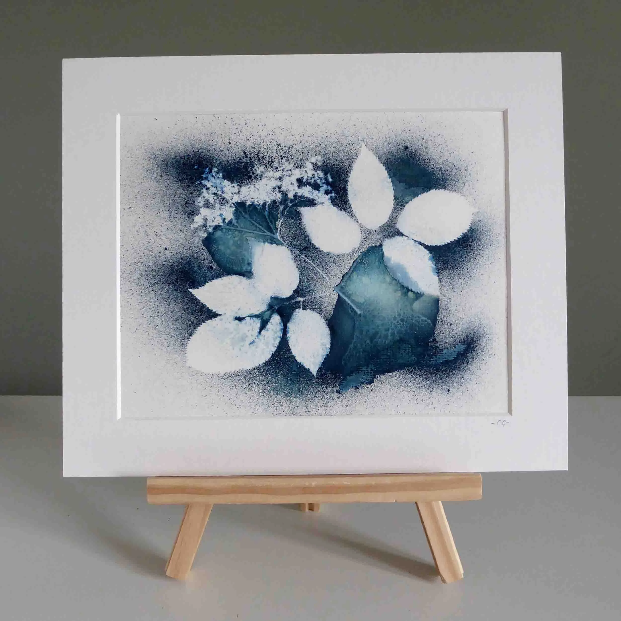 Elderflower Cyanotype