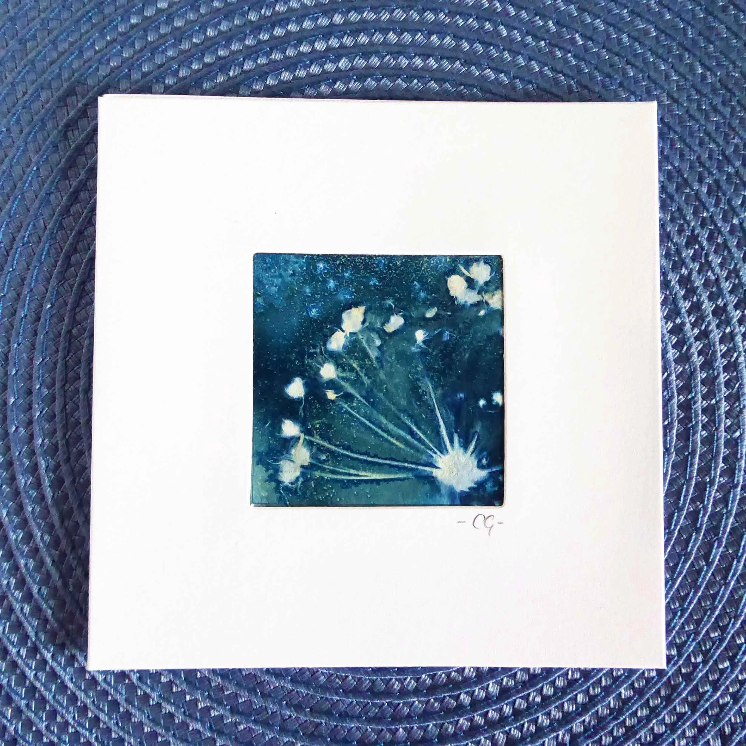 Cow Parsley Cyanotype