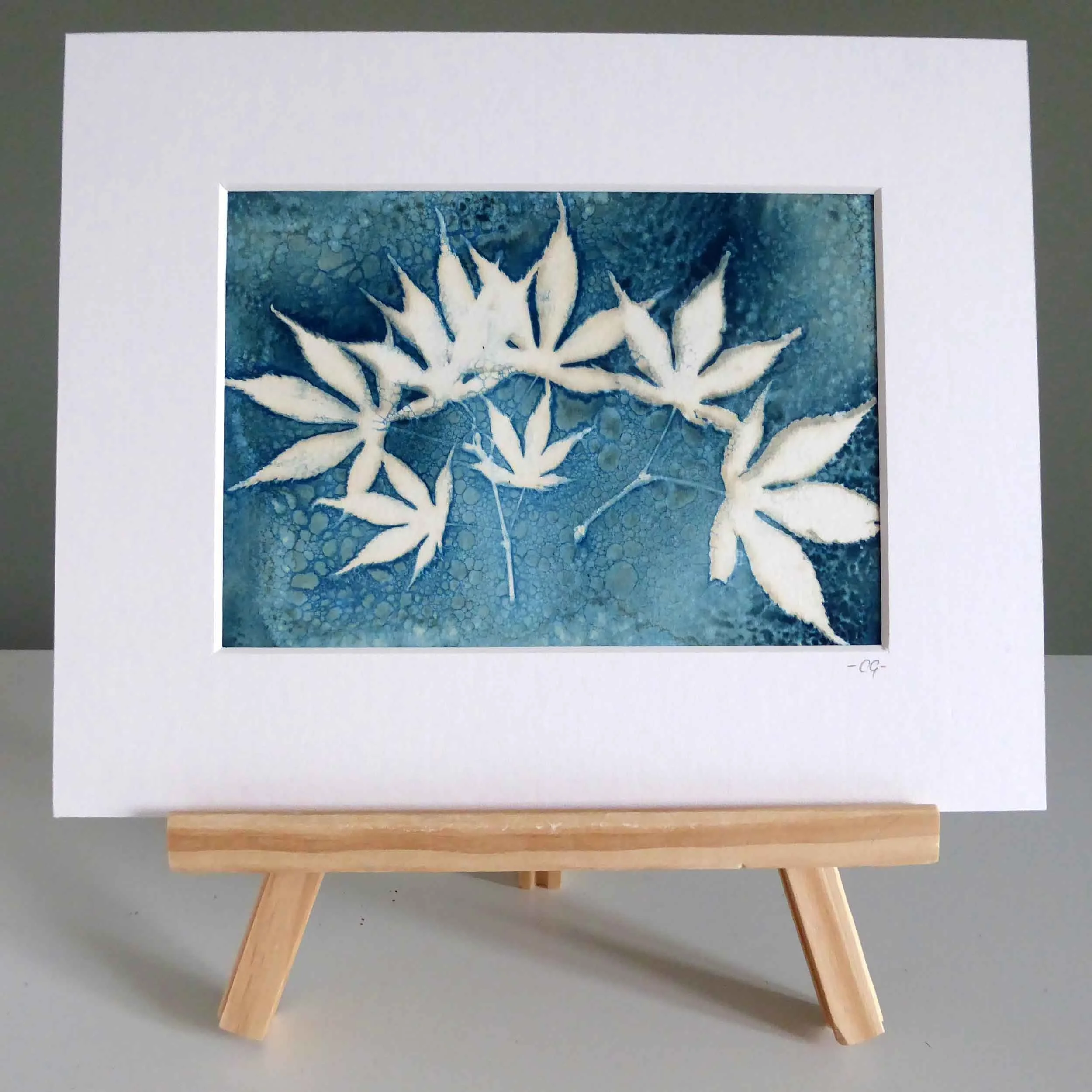 Acer Leaves Cyanotype