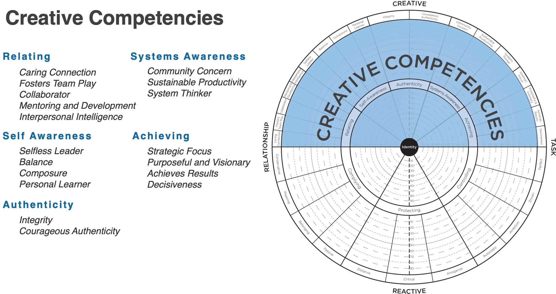 The creative competencies on a circular graph.