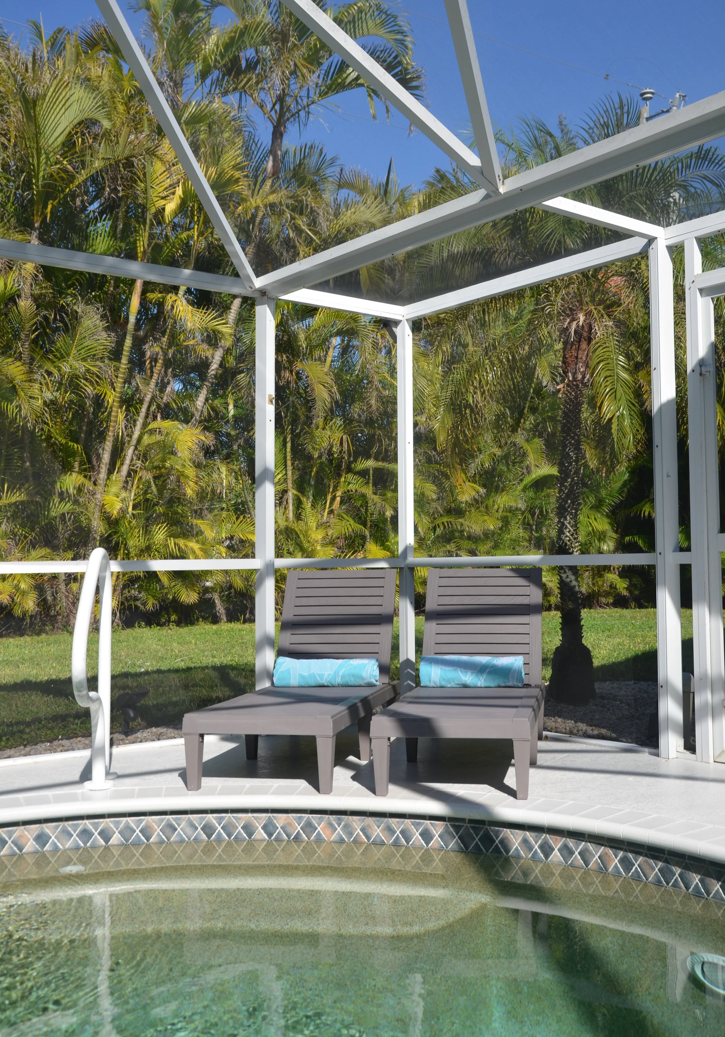 View of a swimming pool with two lounge chairs, a pool edge, and a screened enclosure. Palm trees and a blue sky are visible in the background.