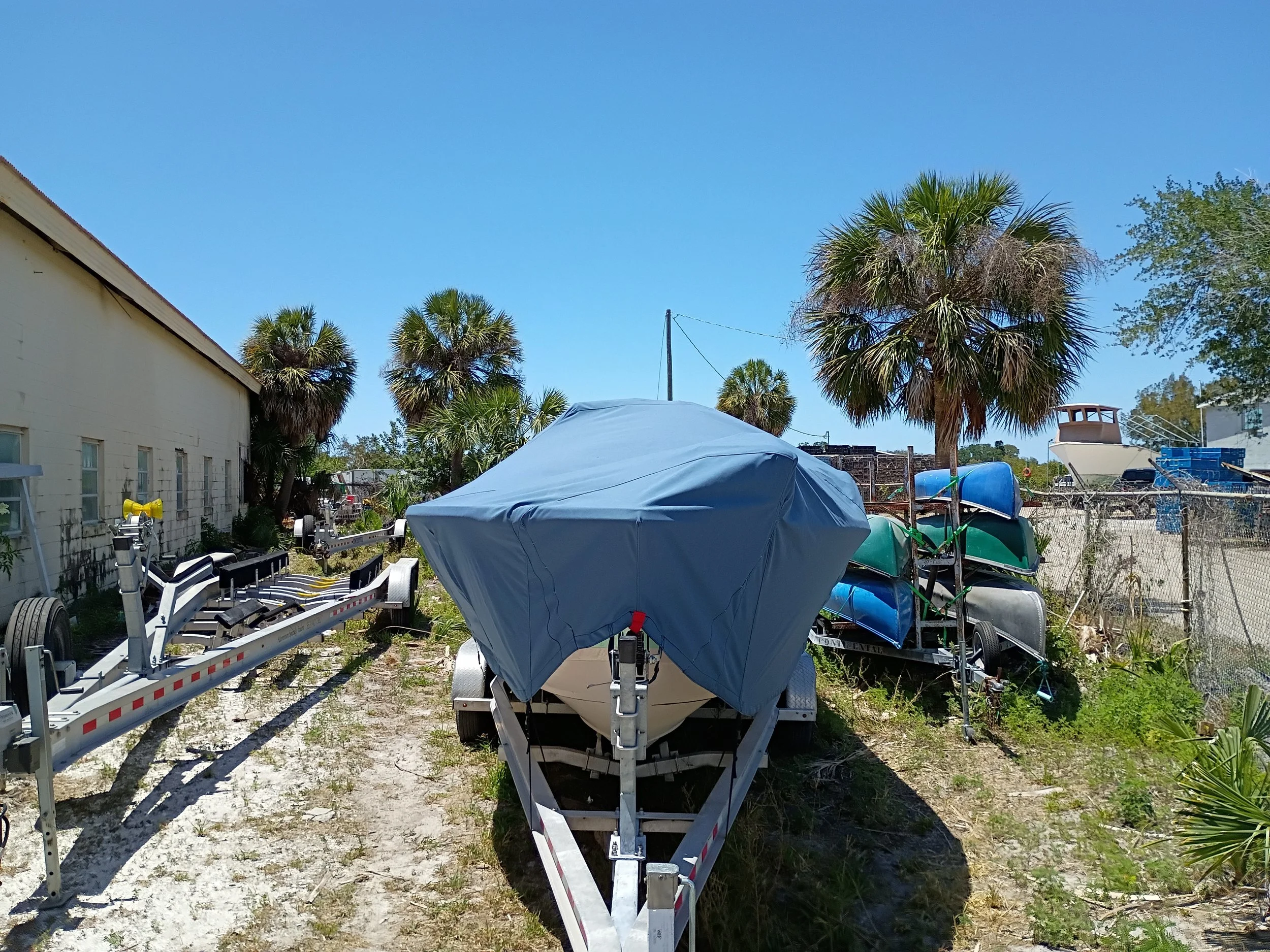 IMG_20260428_135243959.jpg