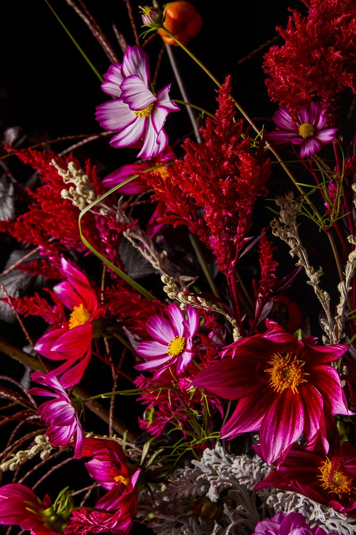 Flowers_1011242263.jpg