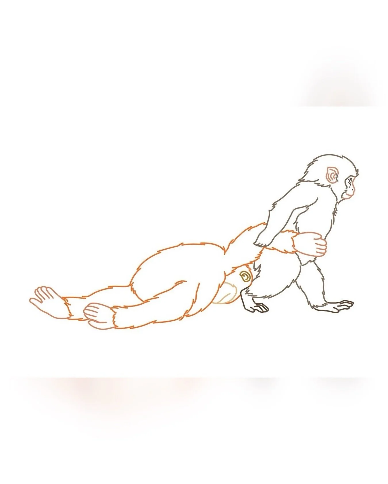 ABANDONMENT TRAUMA AT THE CORE OF BPD 

When I was a young child, I clung to my stuffed toys. Each night before bed, I would line them up until there was no room left for myself, and I would often sleep on the floor because I could not bear the heart