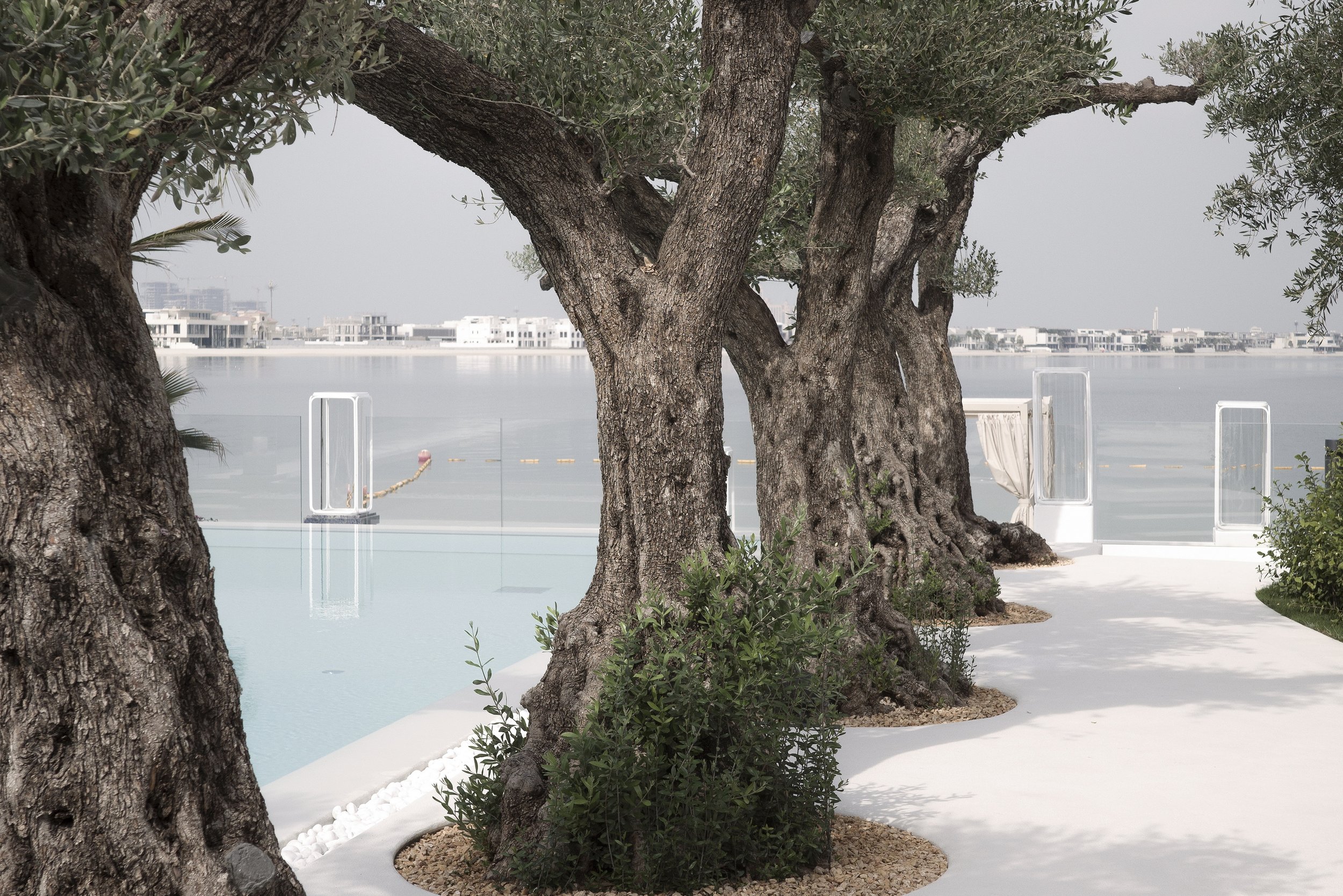 02_Garden P.J_001.jpg