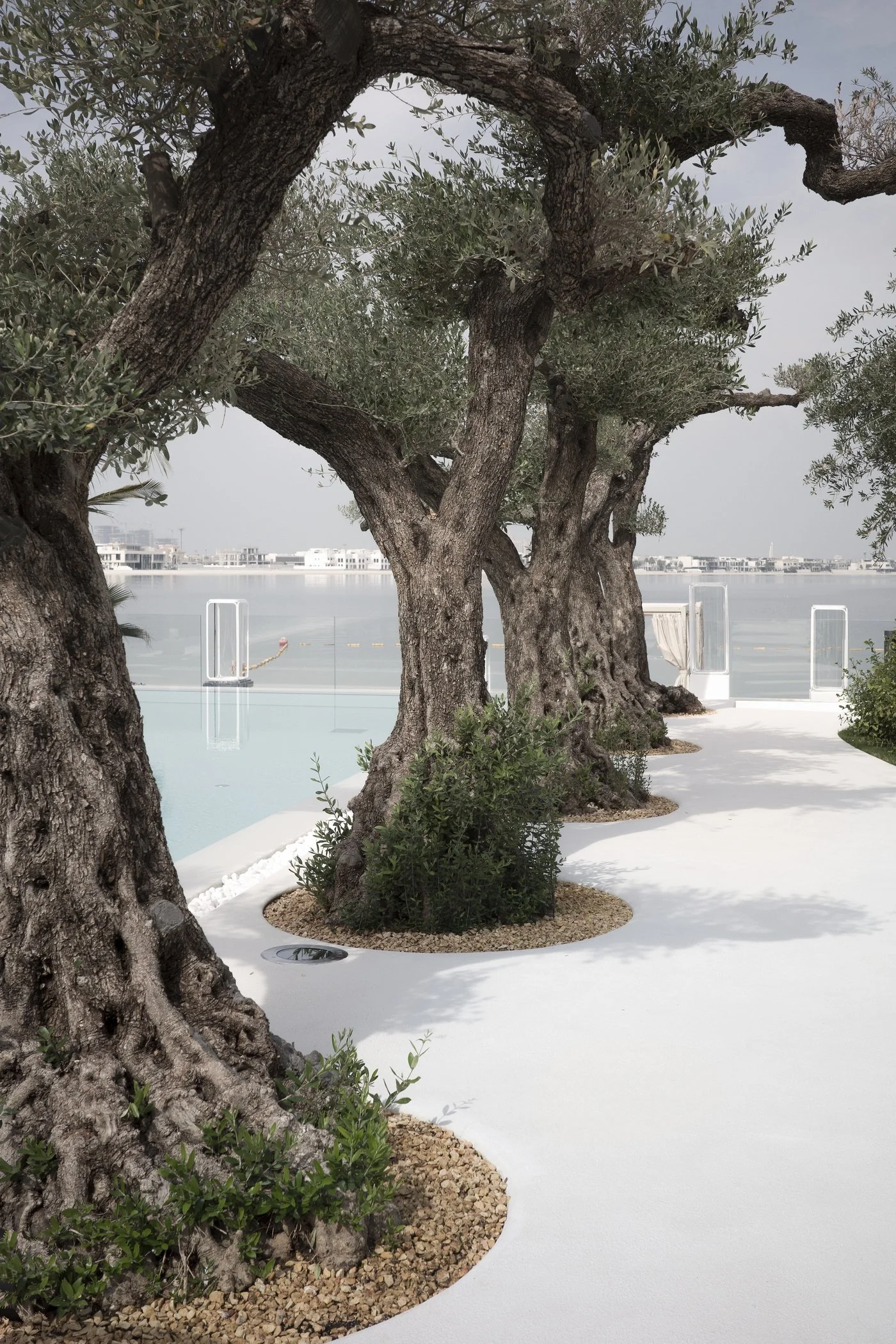 02_Garden P.J_002.jpg