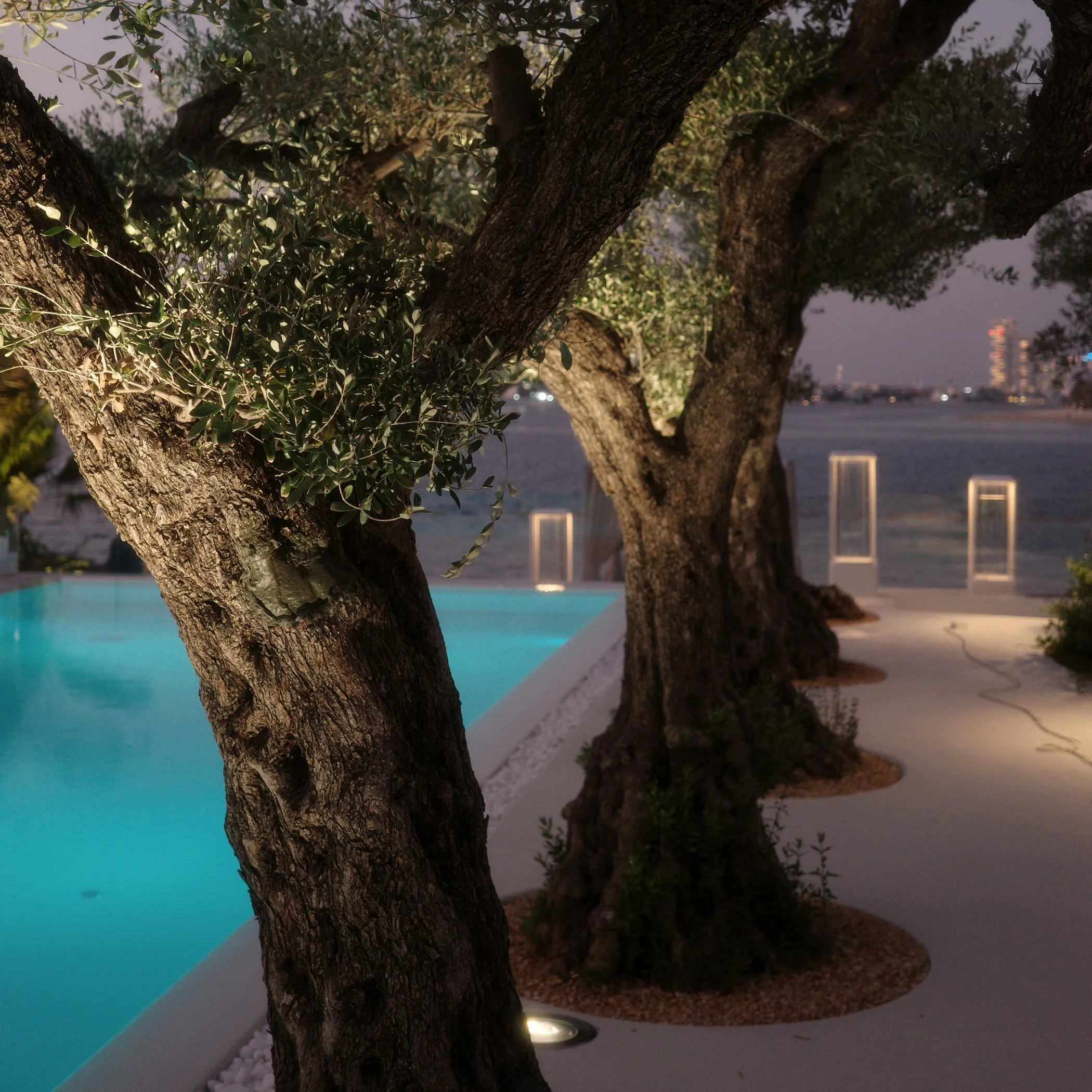 02_Garden P.J_011.jpg