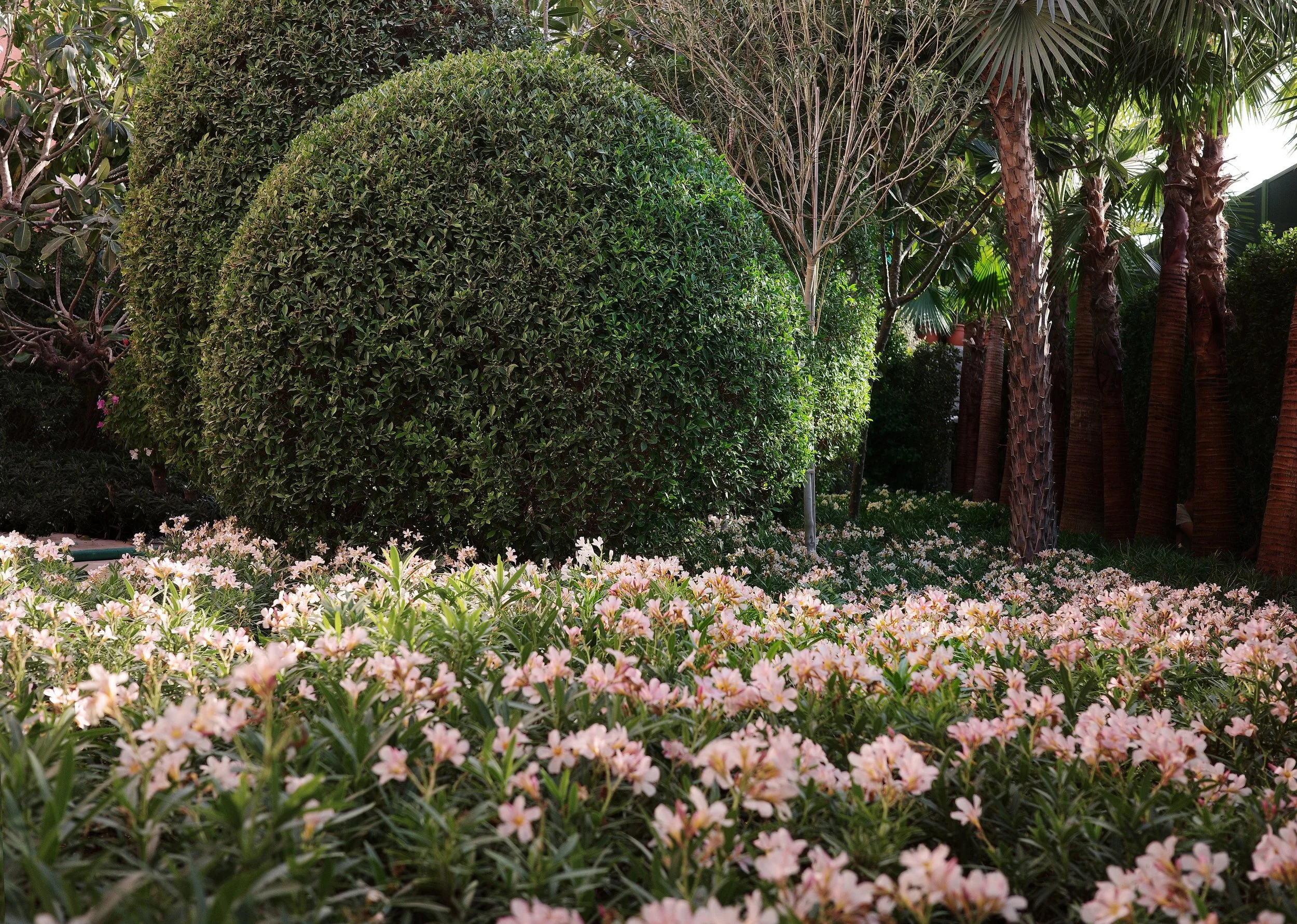 02_Garden P.J_005.jpg