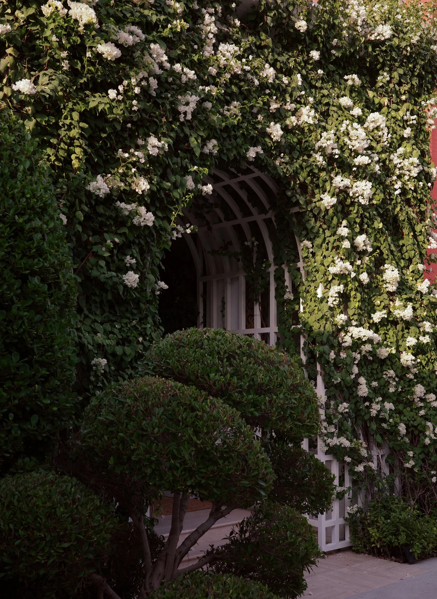 02_Garden P.J_003.jpg