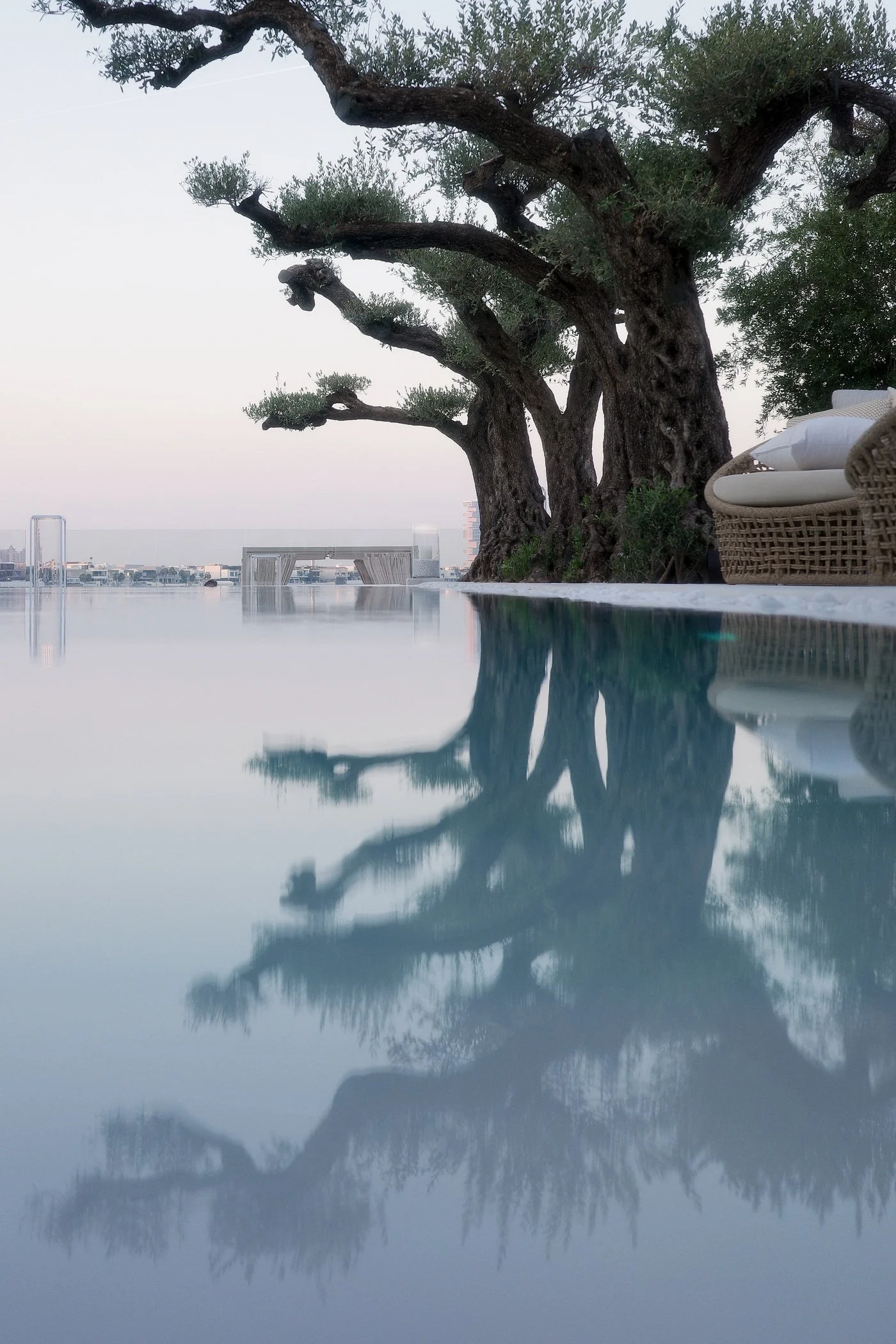 02_Garden P.J_006.jpg