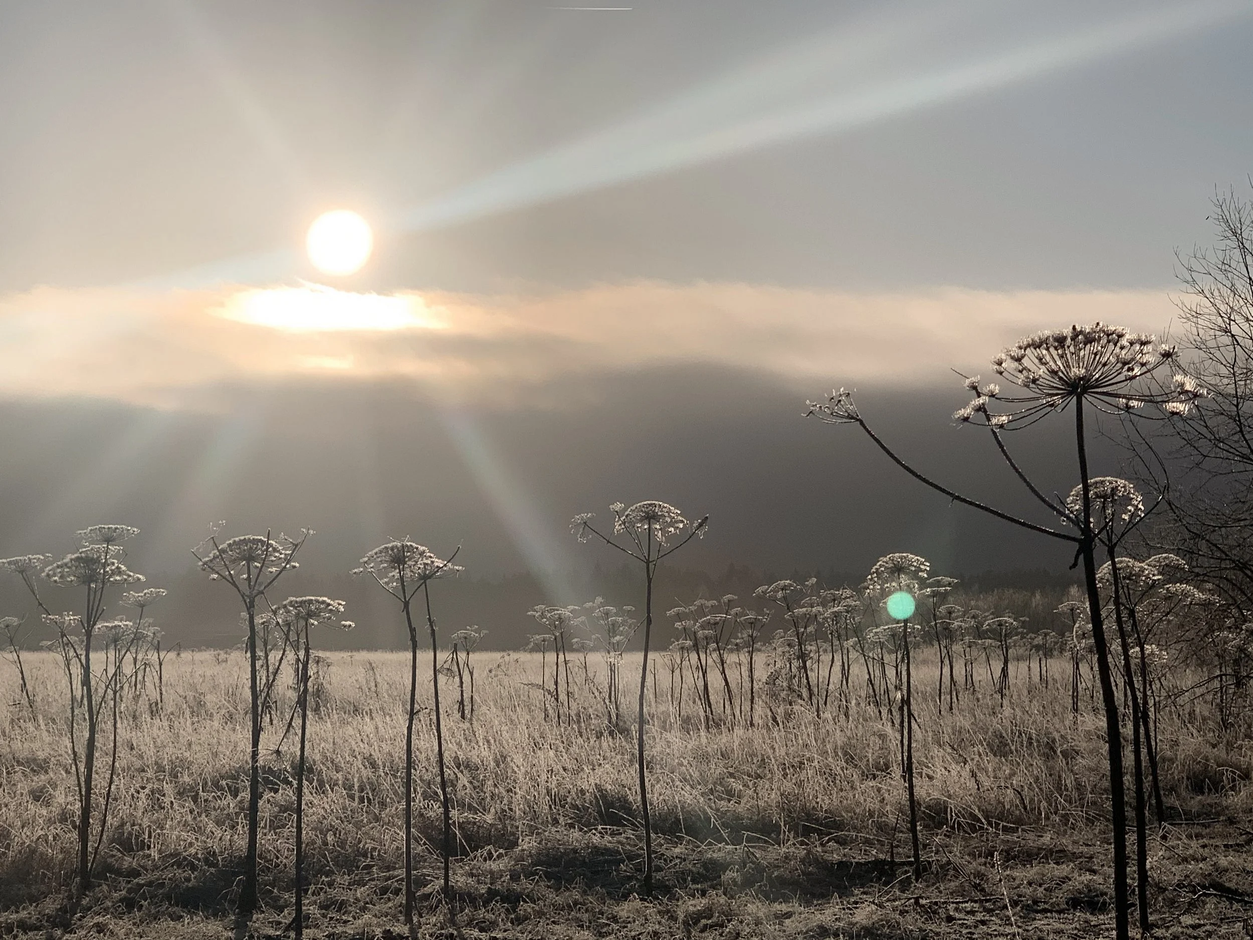 07_Architects Studio_0012.jpg