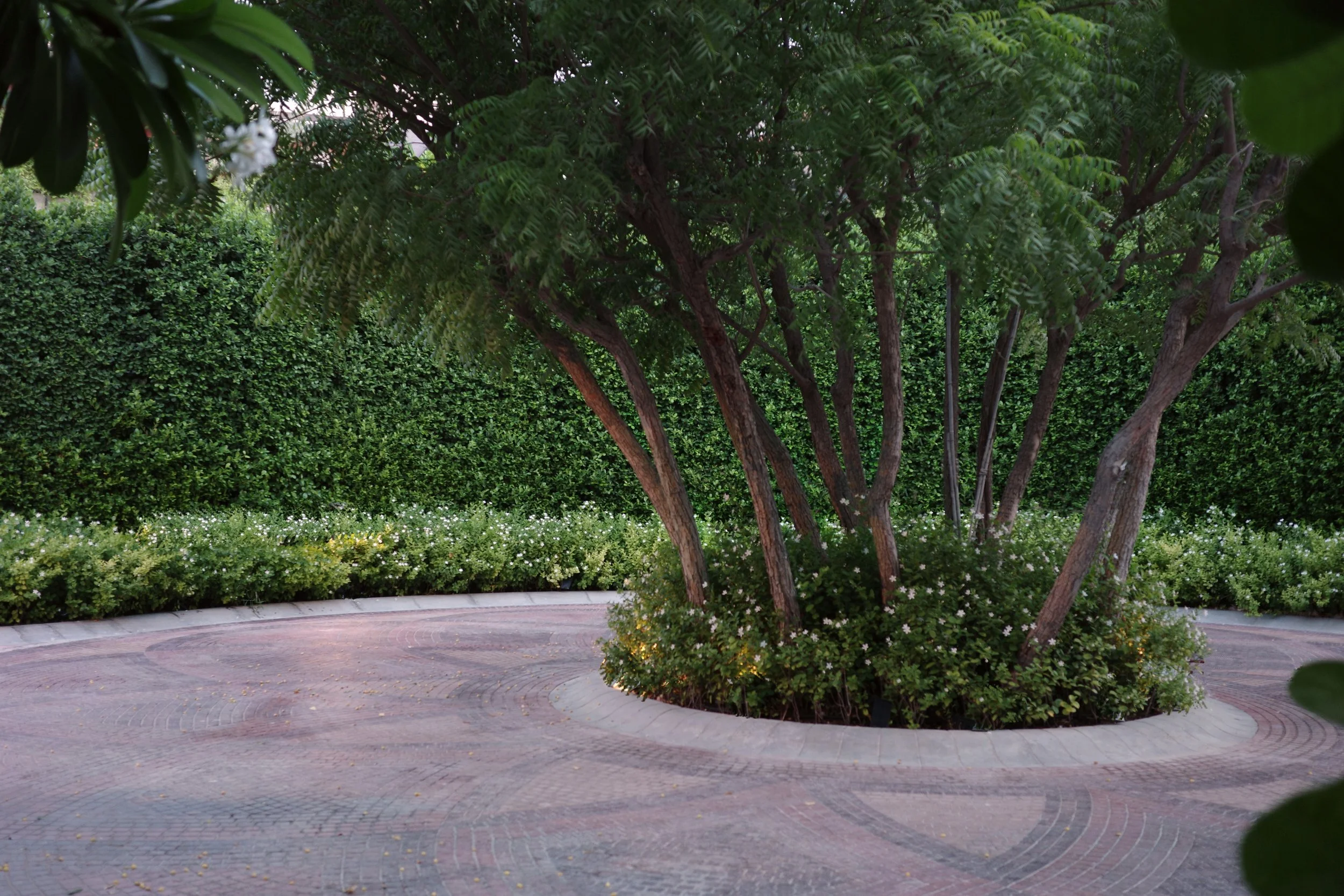 02_Garden P.J_014.jpg