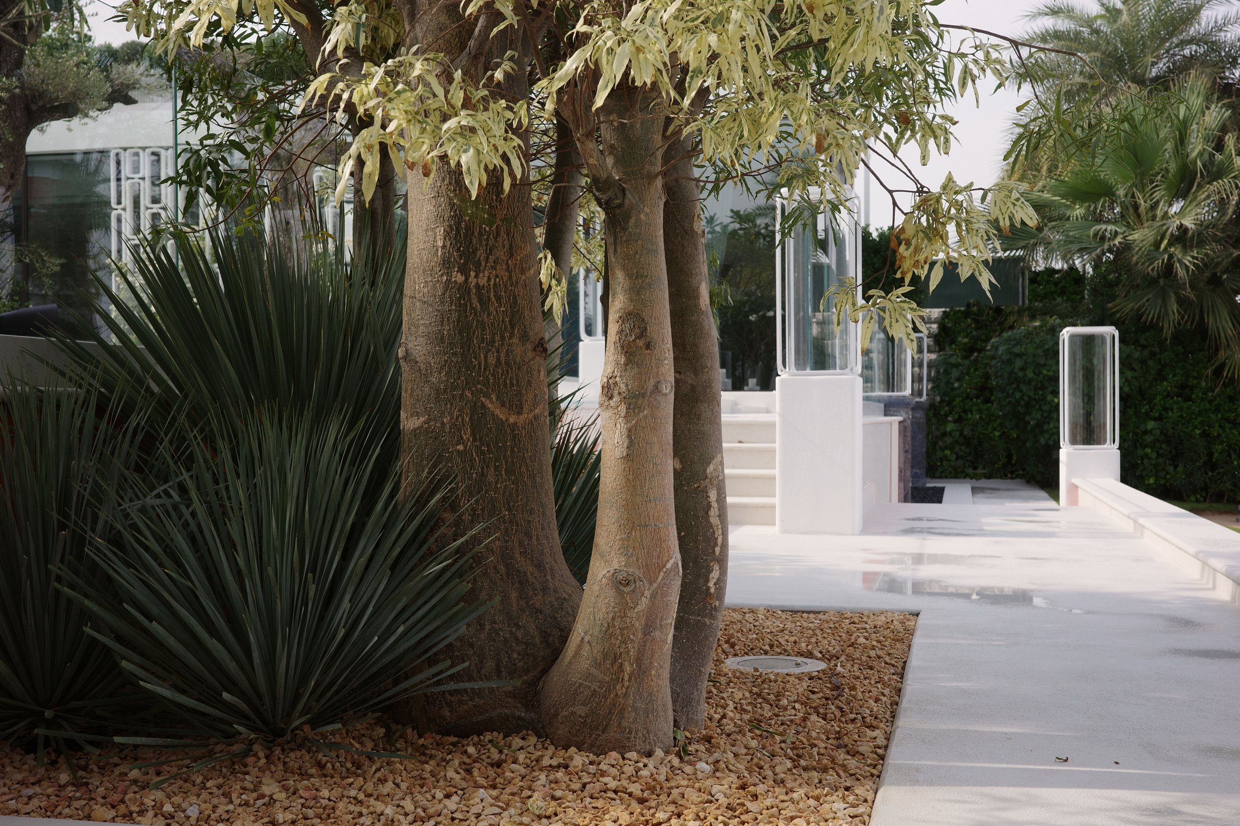 02_Garden P.J_004.jpg