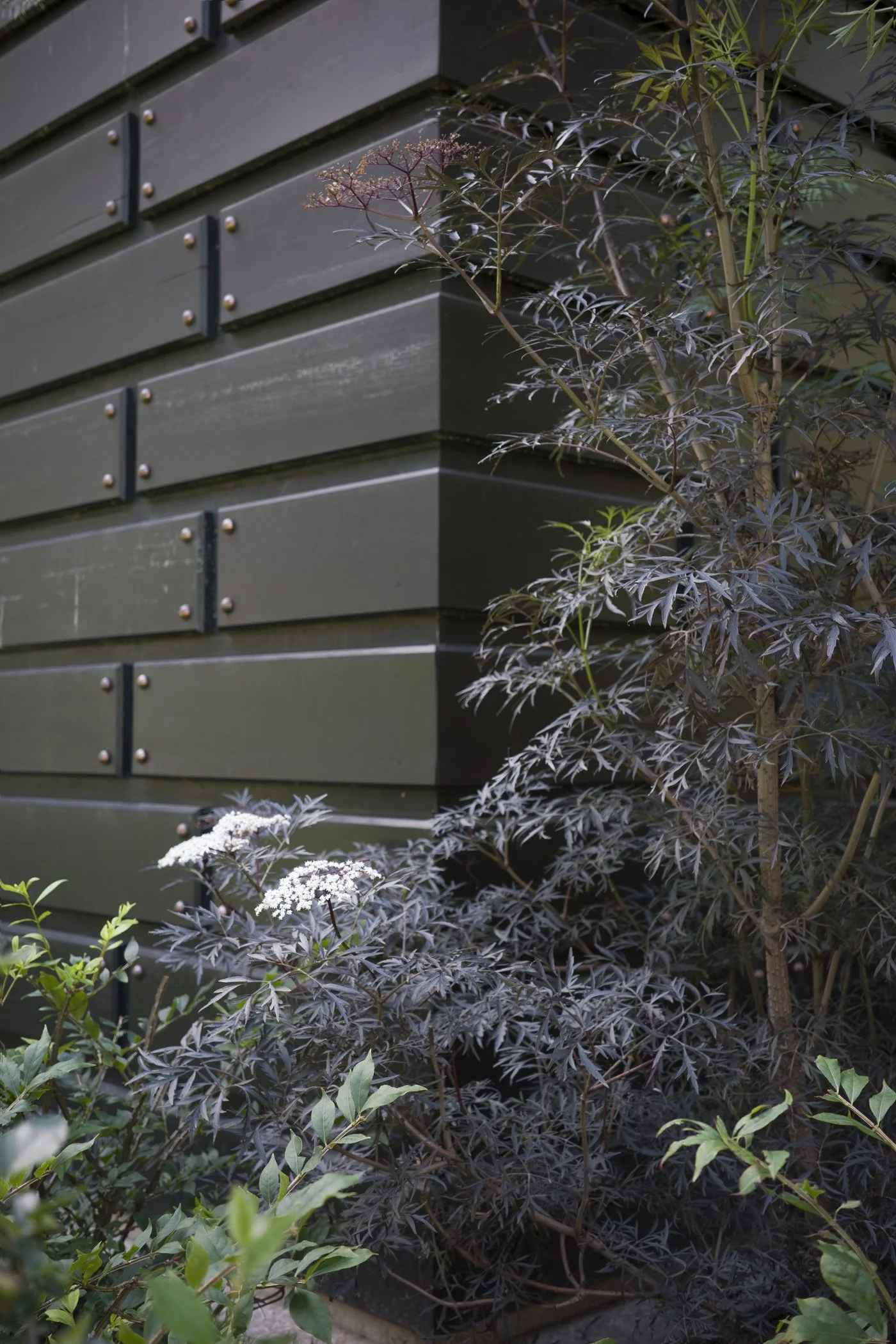 05_House by the Lake_0010.jpg