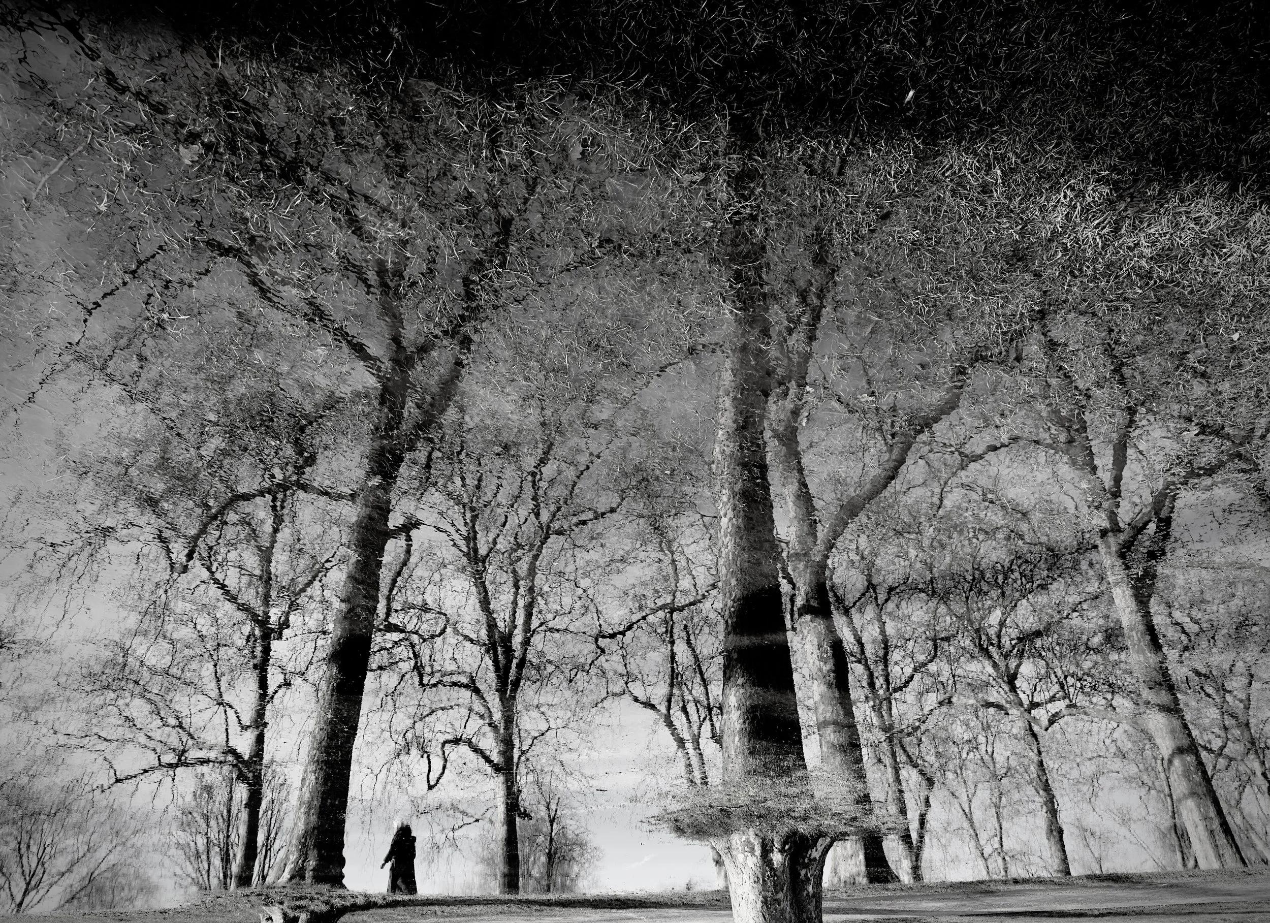 M—A (A SPACE BETWEEN) 97. SAM JOSEPH: A SPACE BETWEEN VALUE AND LIGHT by Joe Richards