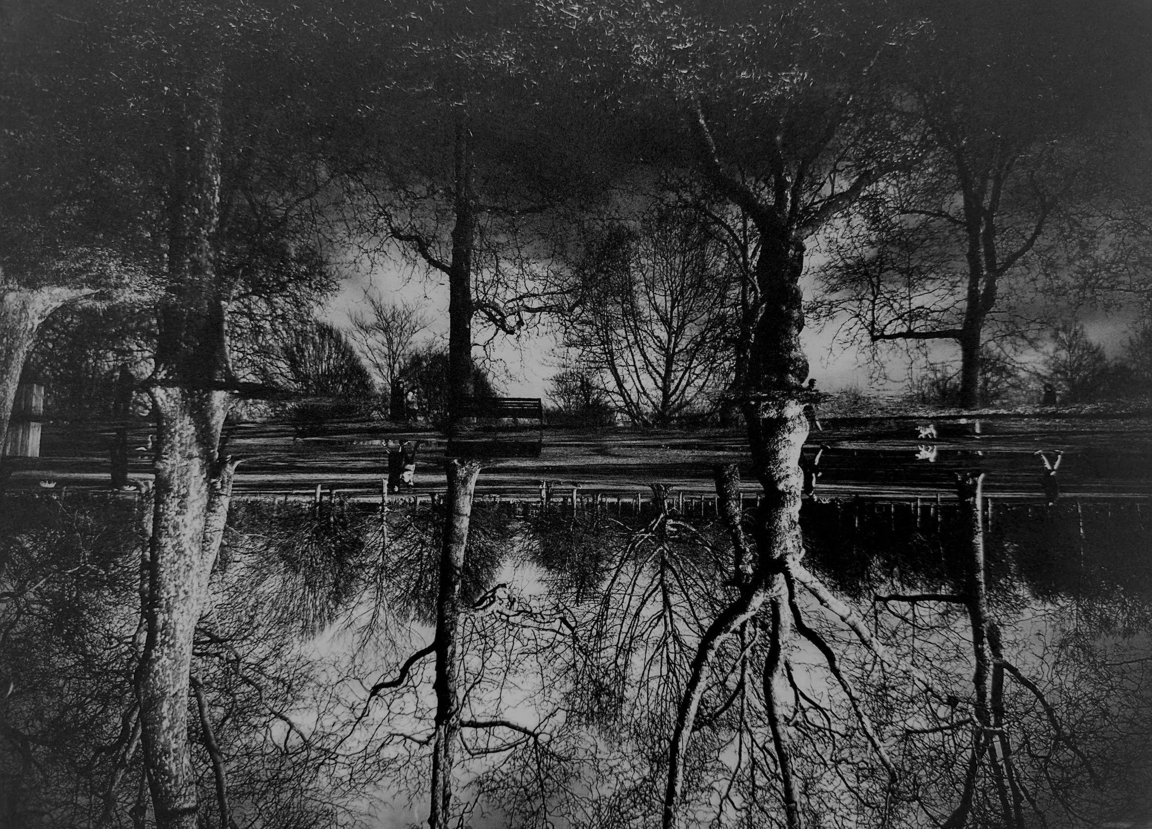 Black and white photograph of leafless trees reflected in a calm body of water, creating a mirrored image of the sky and branches.