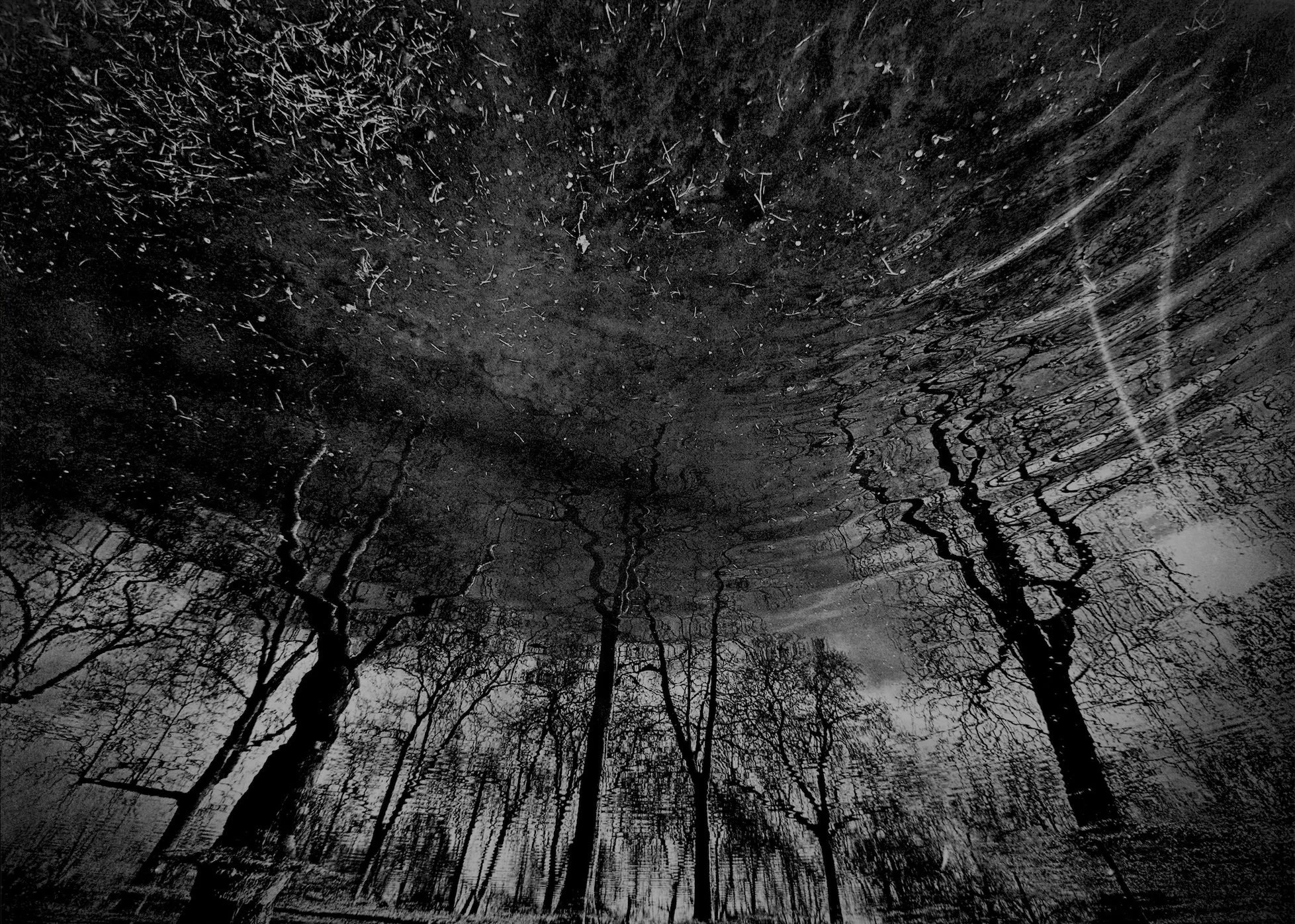 Black and white photograph of a forest with tall, leafless trees and a partially cloudy sky, with an open space in the center.