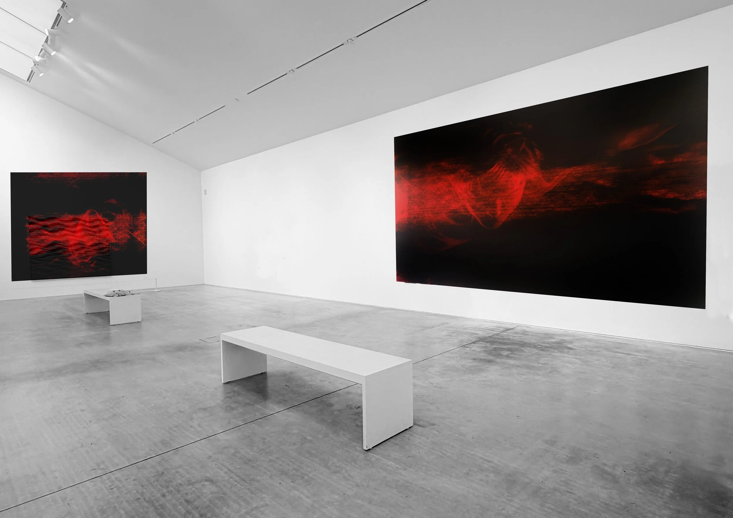 Contemporary art gallery with two large dark and red abstract paintings hanging on white walls. The gallery has a minimalist design with white benches and concrete floors.